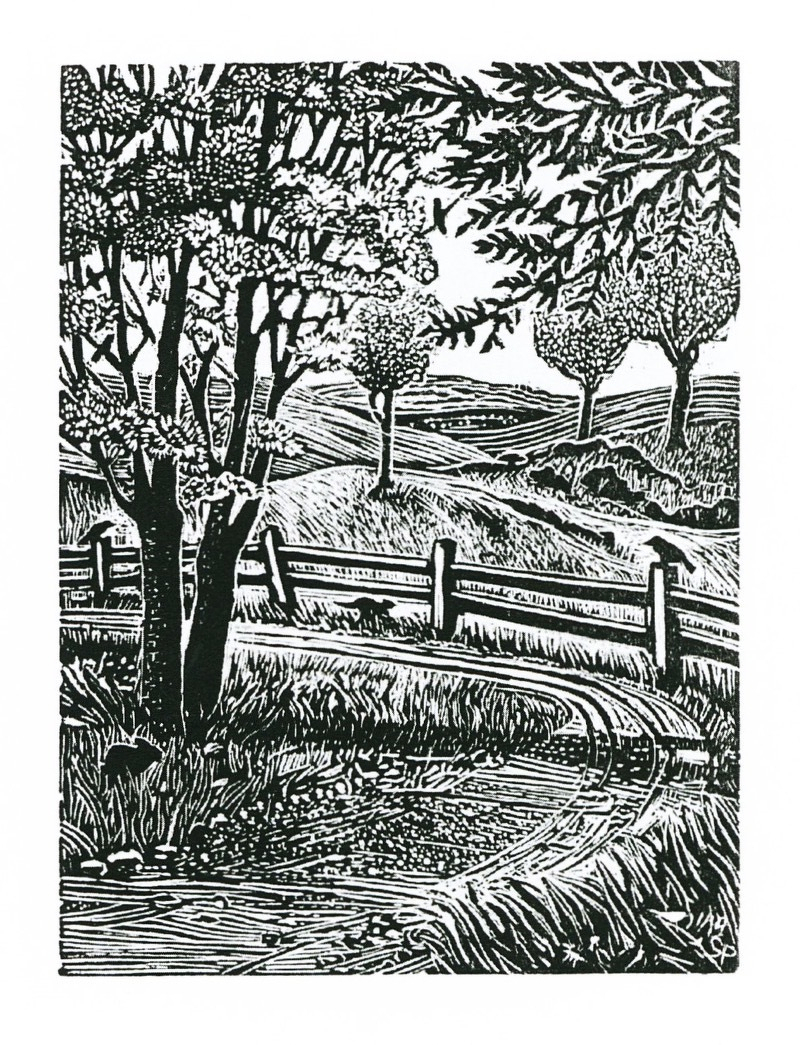 Tumblr ca471d9dd09de90c1b061155e4c3c9f5 49943110 1280.