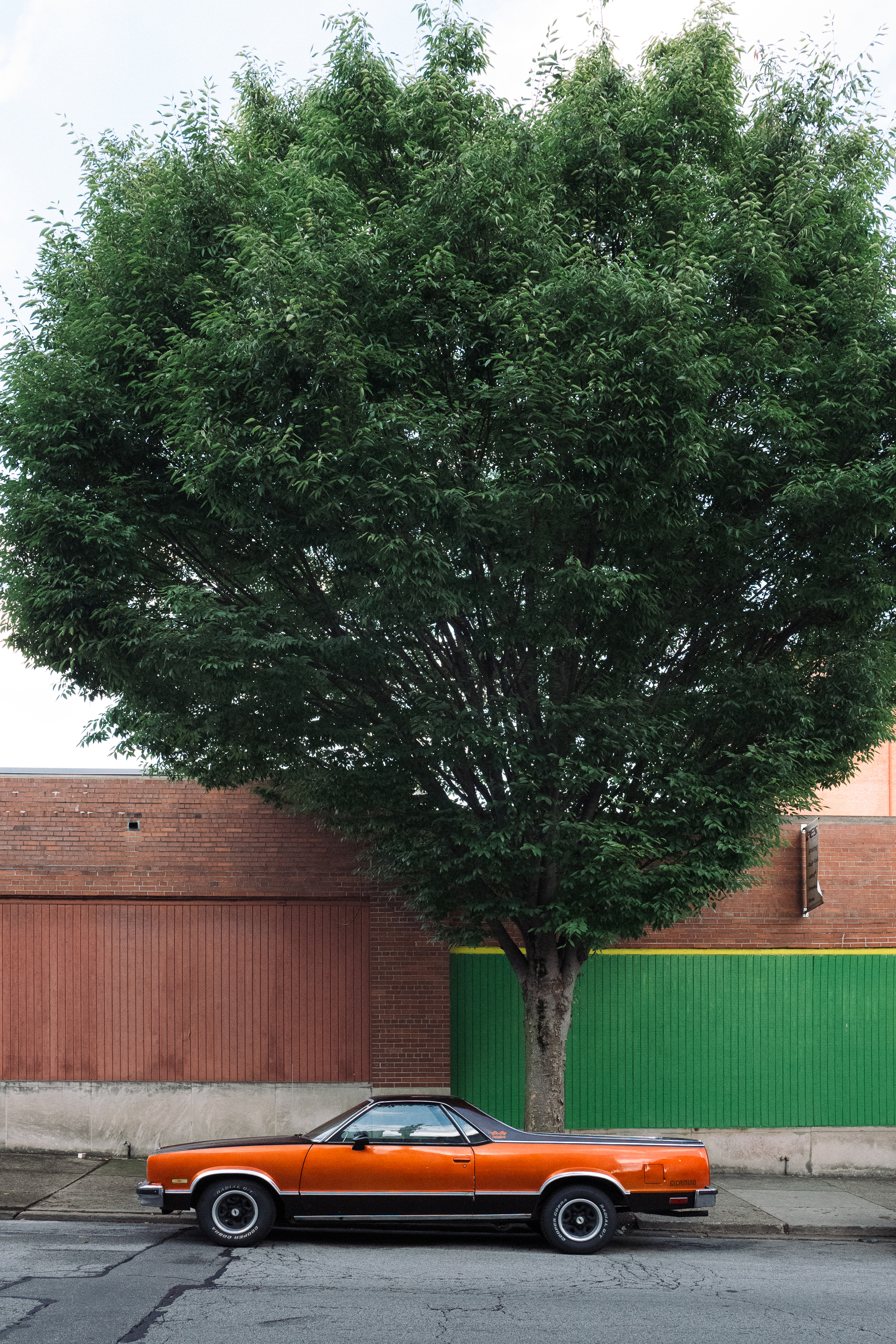 Orange El Camino parked next to a tree - Leica Q