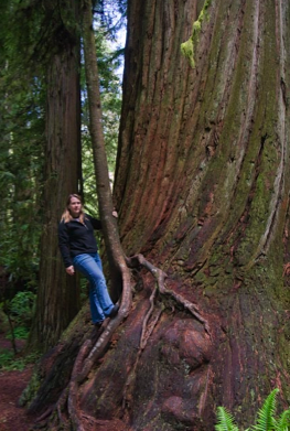 T and a redwood1