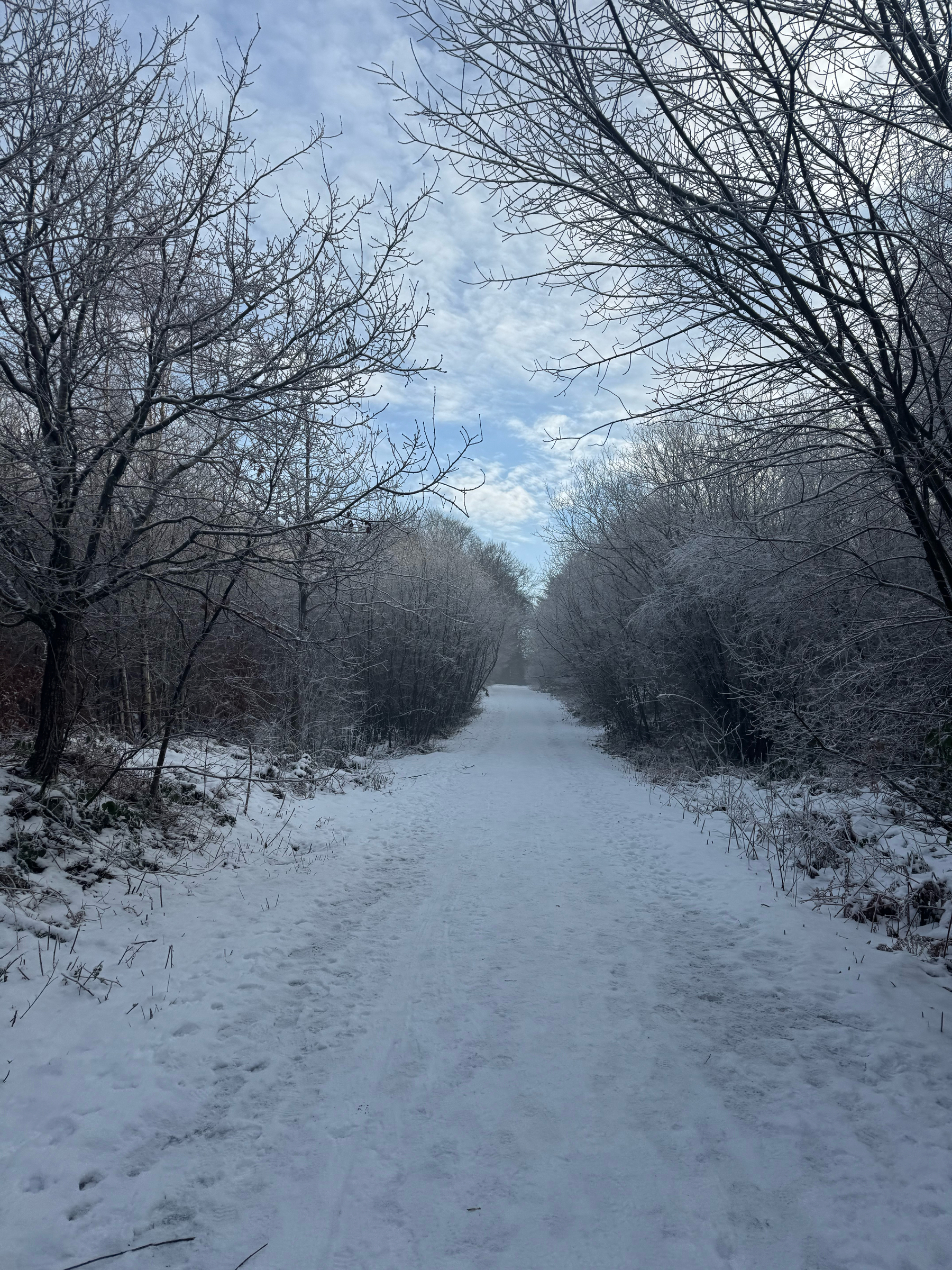 The more popular paths towards the end had more compacted snow on them