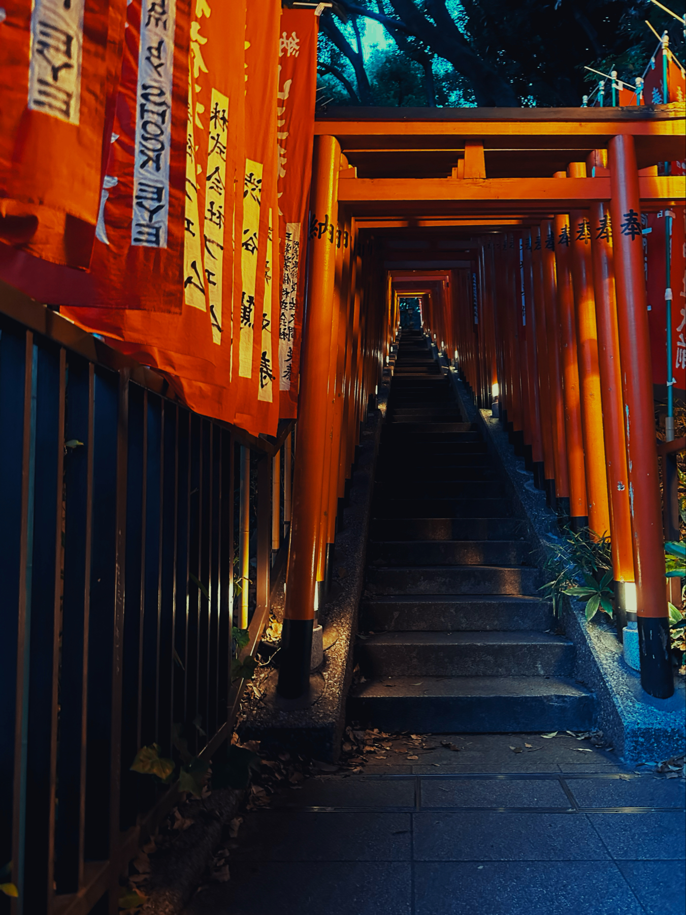 A stairway with bright red Torii gates spanning the entirety at sunset,