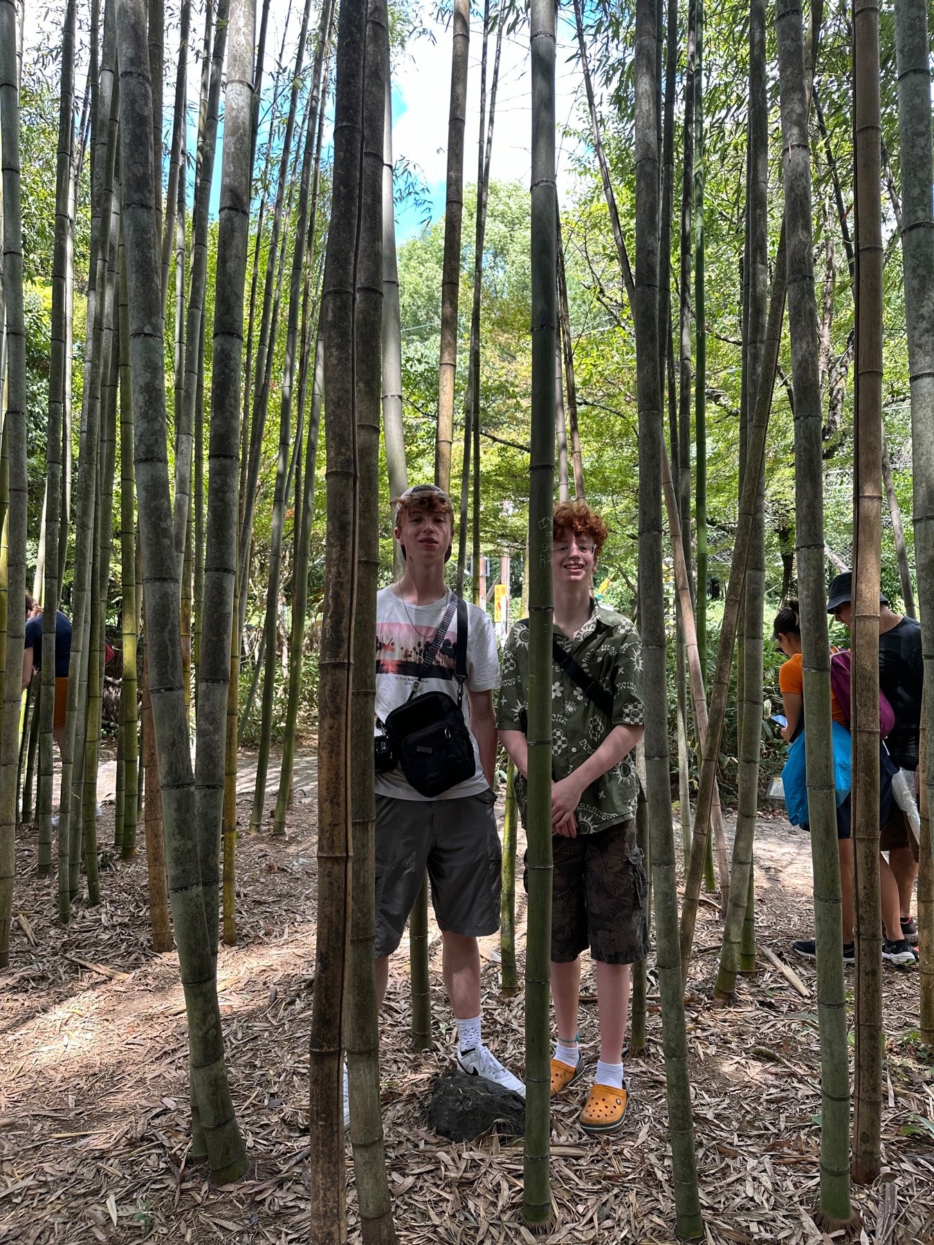 My sons photo&rsquo;d in the middle of the bamboo