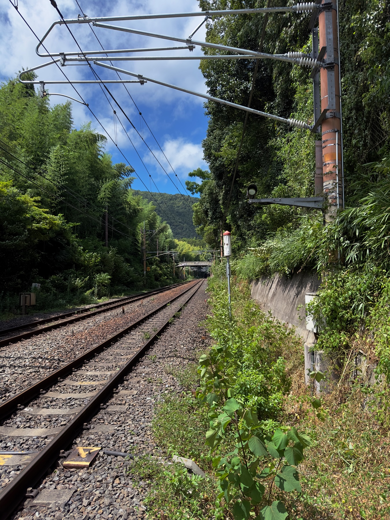 A view on the side of the train tracks showing a bridge in the distance