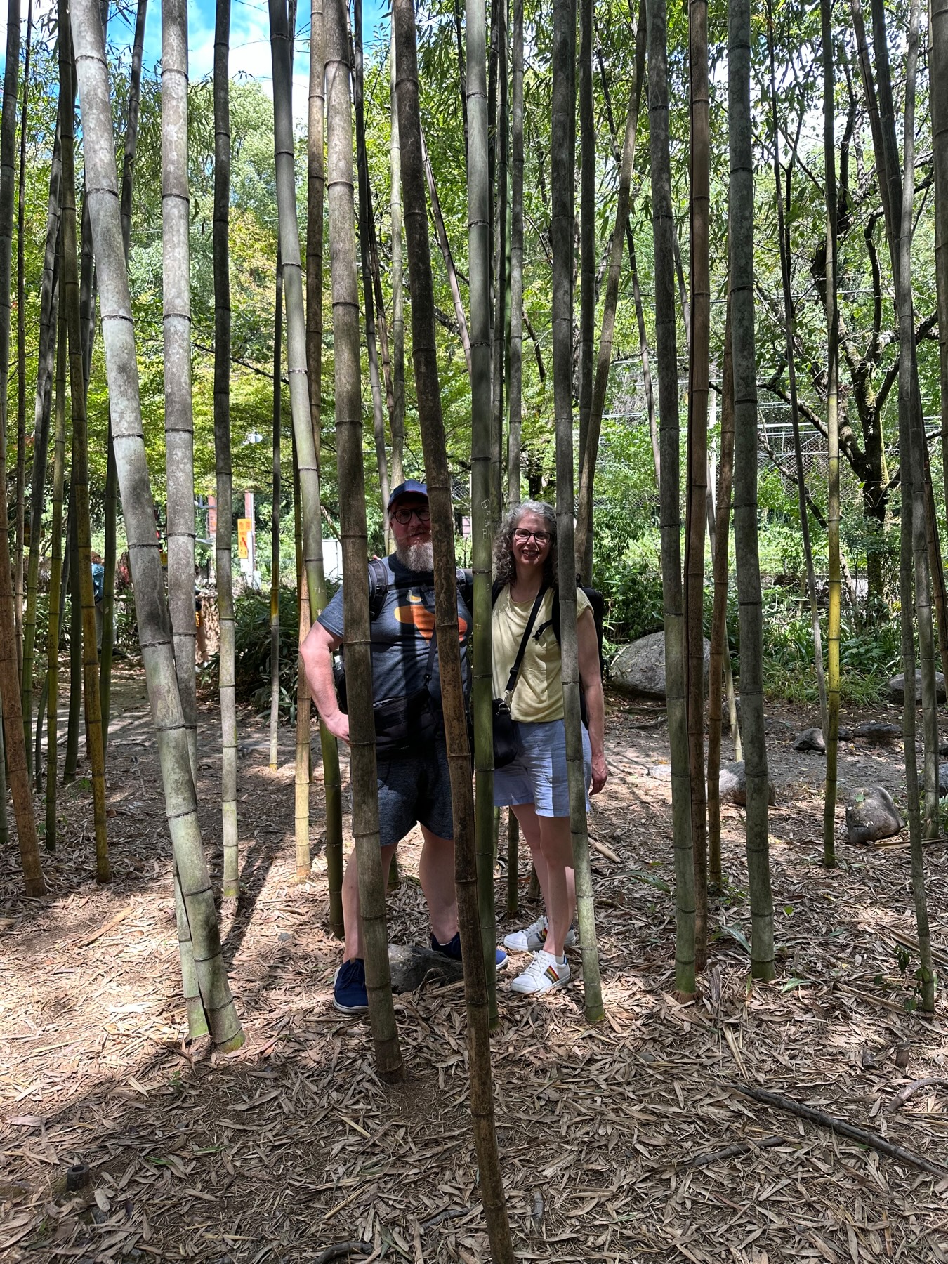Me and my wife posing in the middle of the bamboo