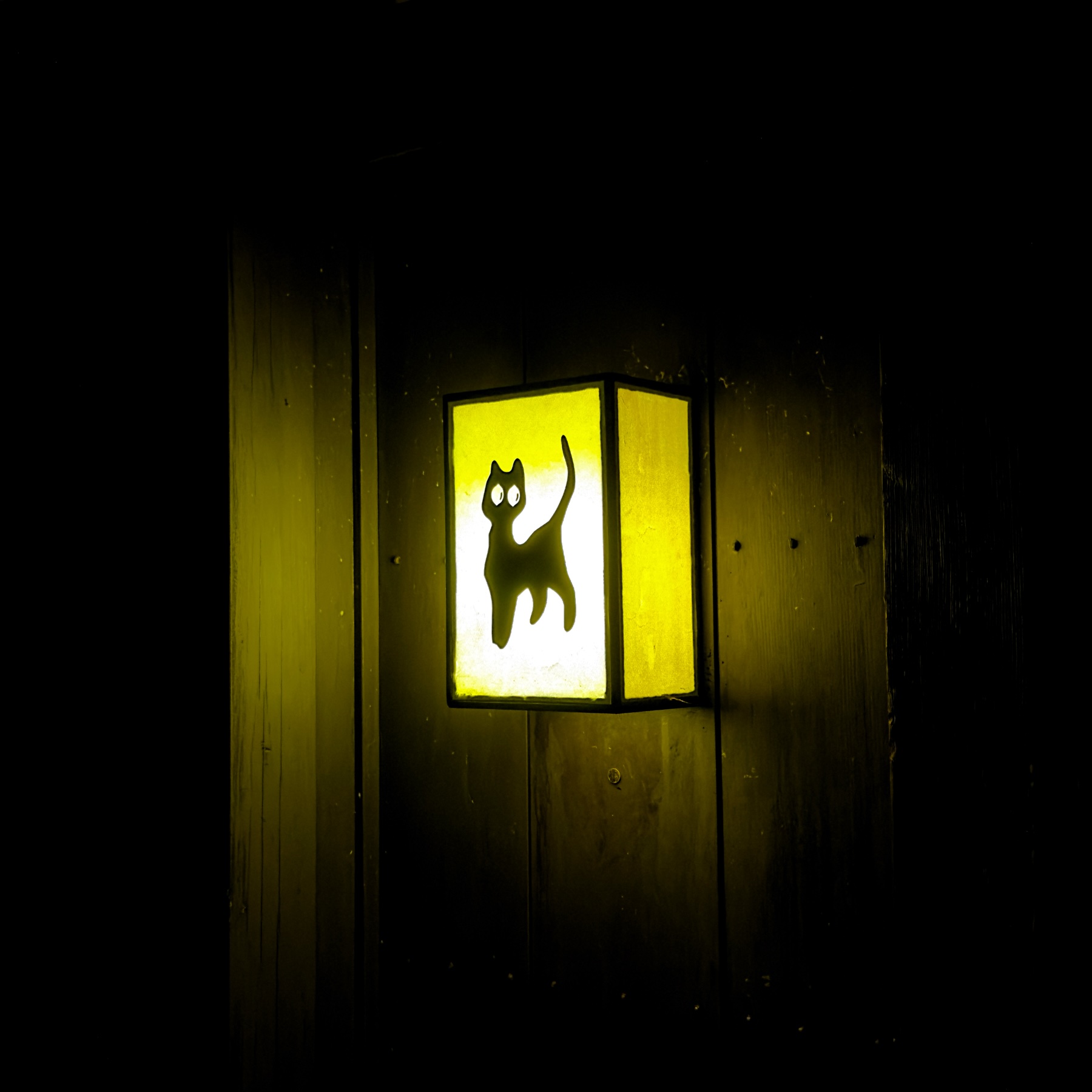 A cat portrayed on a lantern