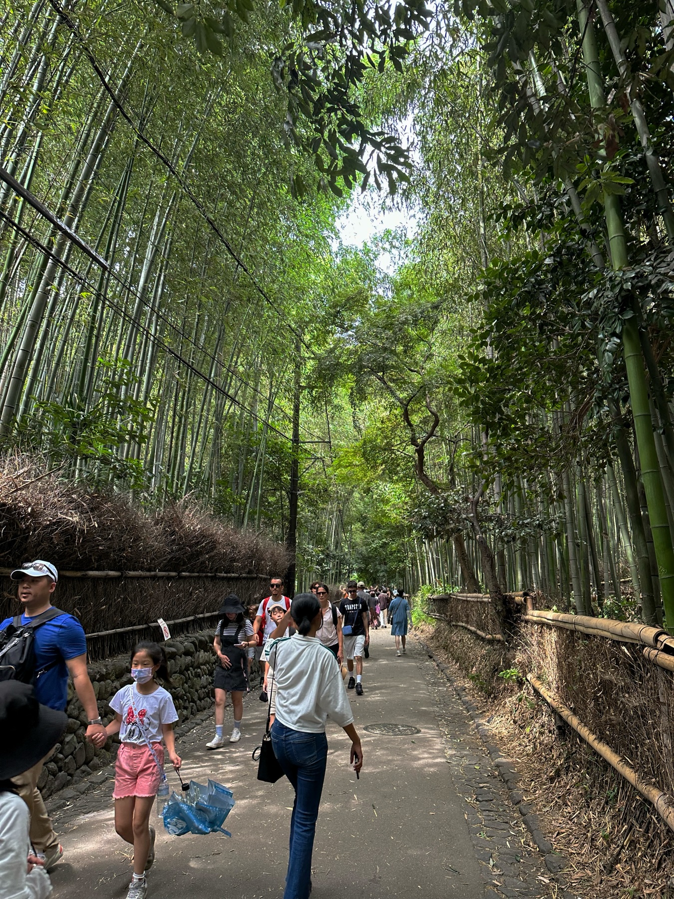 The bamboo Forest walkway