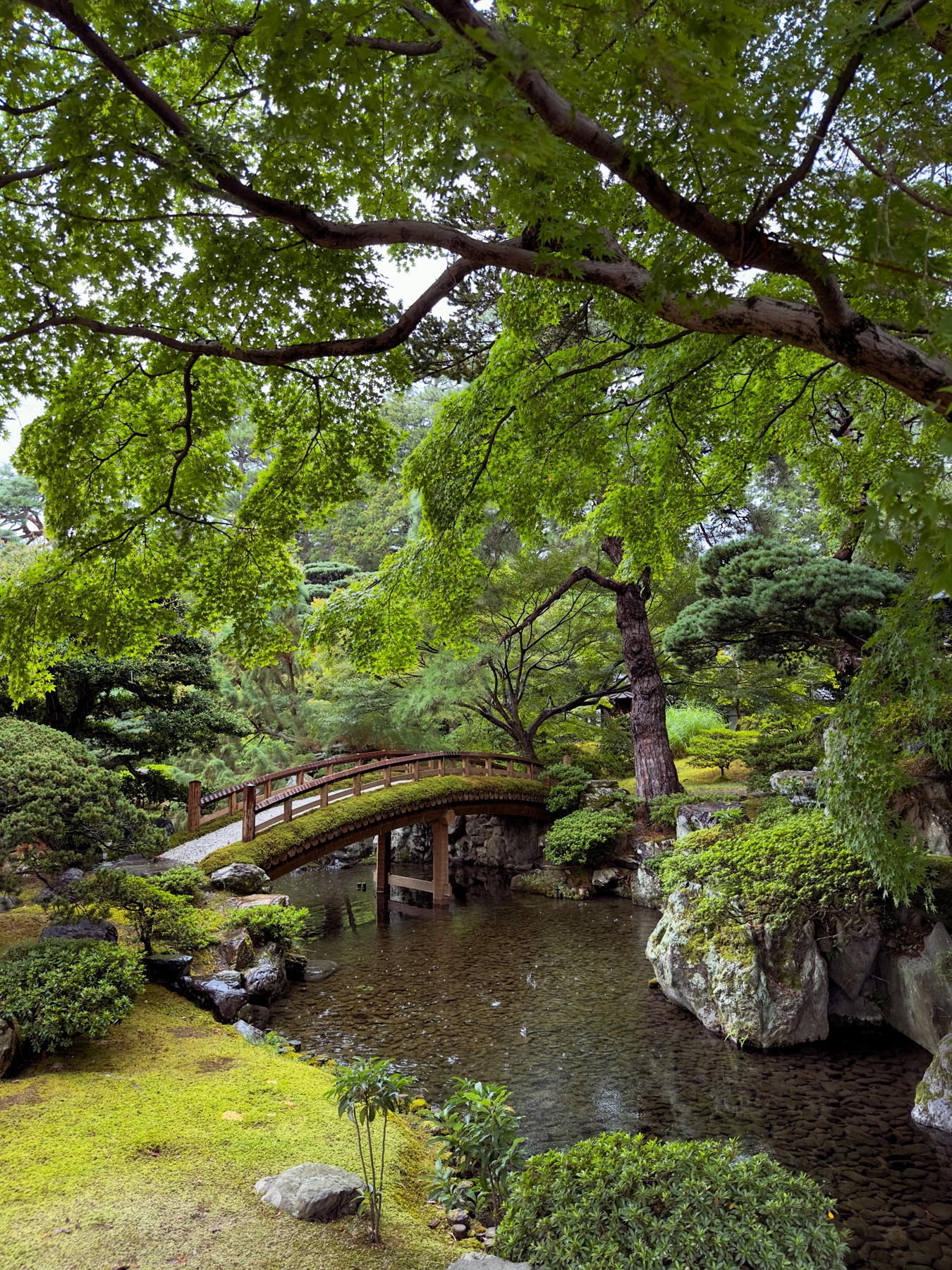 A moss covered wooden bridge and lush trees in the imperial palace gardens