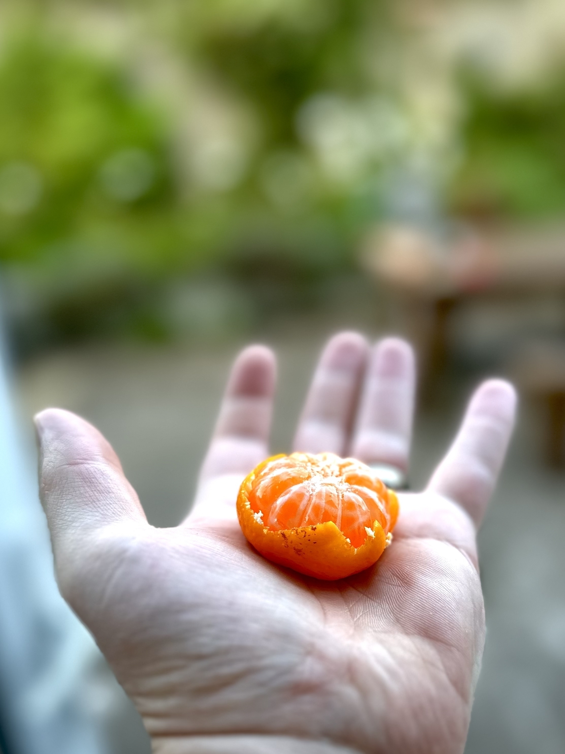 A real looking tangerine actually made of plastic held in the palm of a hand