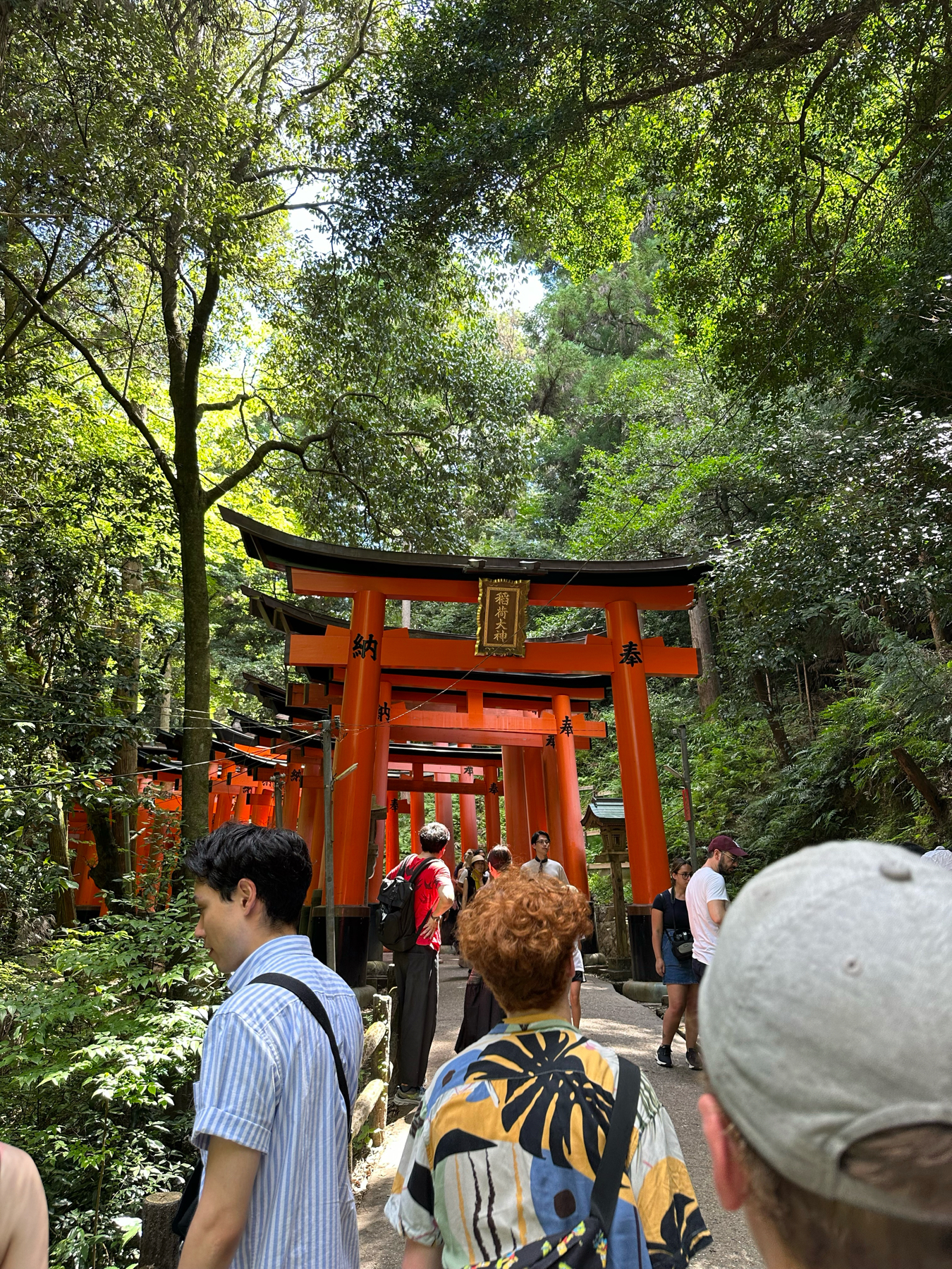 Tourists walking through a shaded path lined with vibrant orange torii gates at a Shinto shrine in Japan, surrounded by lush greenery.