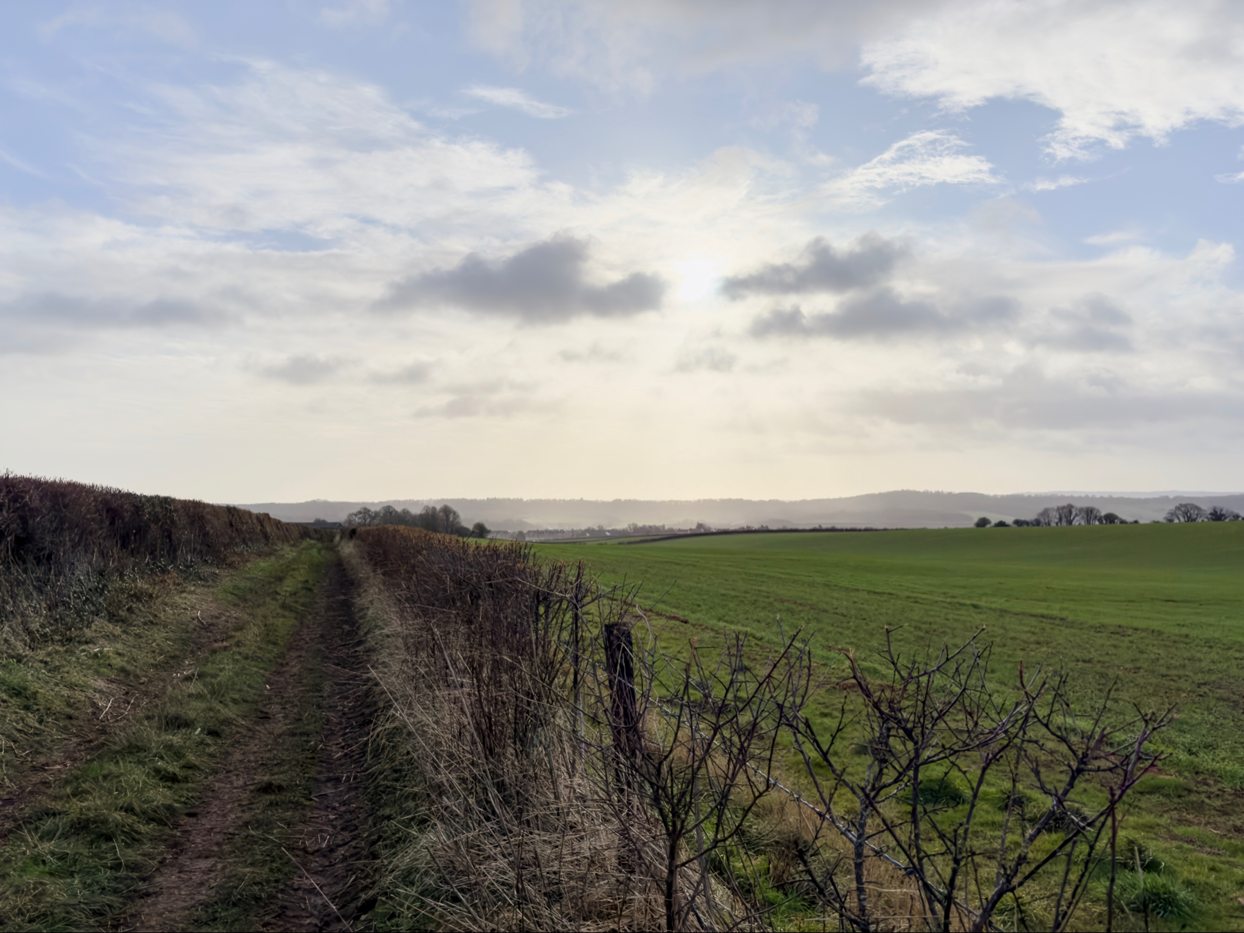 A rural landscape with a narrow dirt path between hedge rows, green fields under a cloudy sky.
