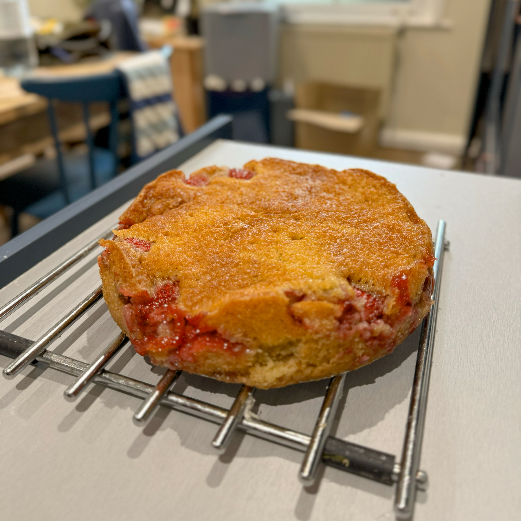 A cake with strawberries peeking through in a cooked jammy state on a cooling rack overlooking a modern kitchen setting.
