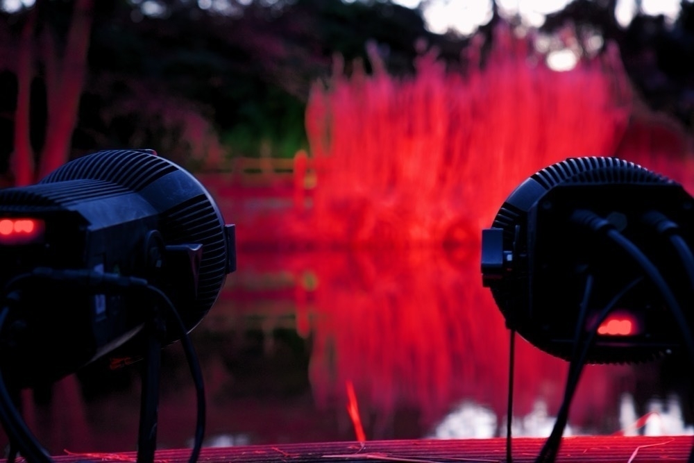 Two spotlights. In the background, a red illuminated bush can be seen out of focus, reflected in the water.