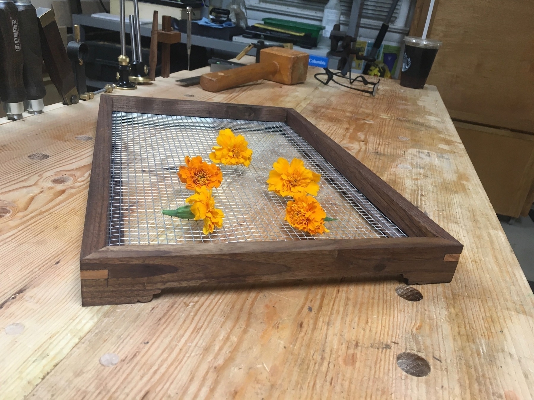 Serving tray final