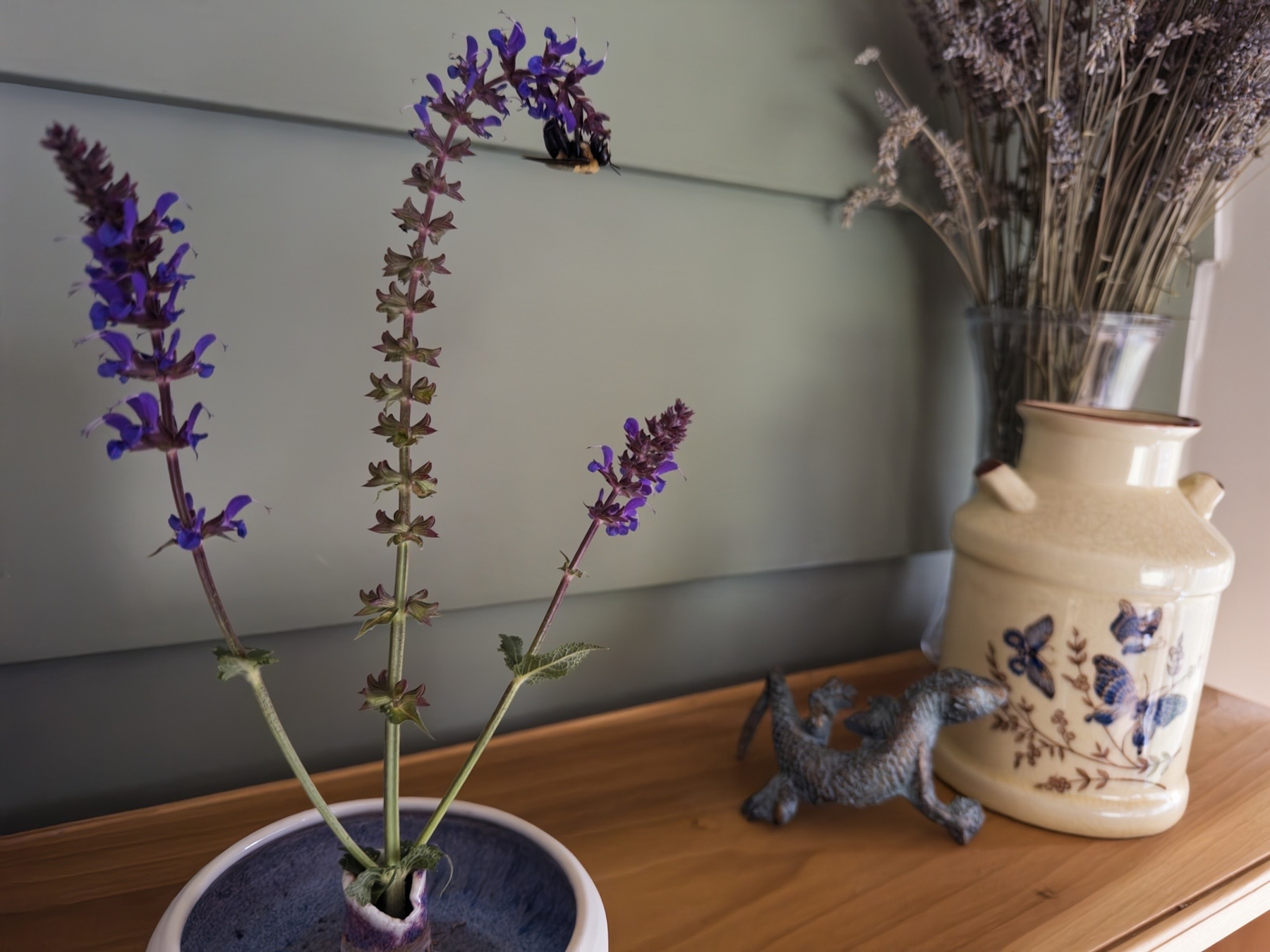 woodland sage in a small vase with a bee on the end of one stalk, sitting on a shelf 
