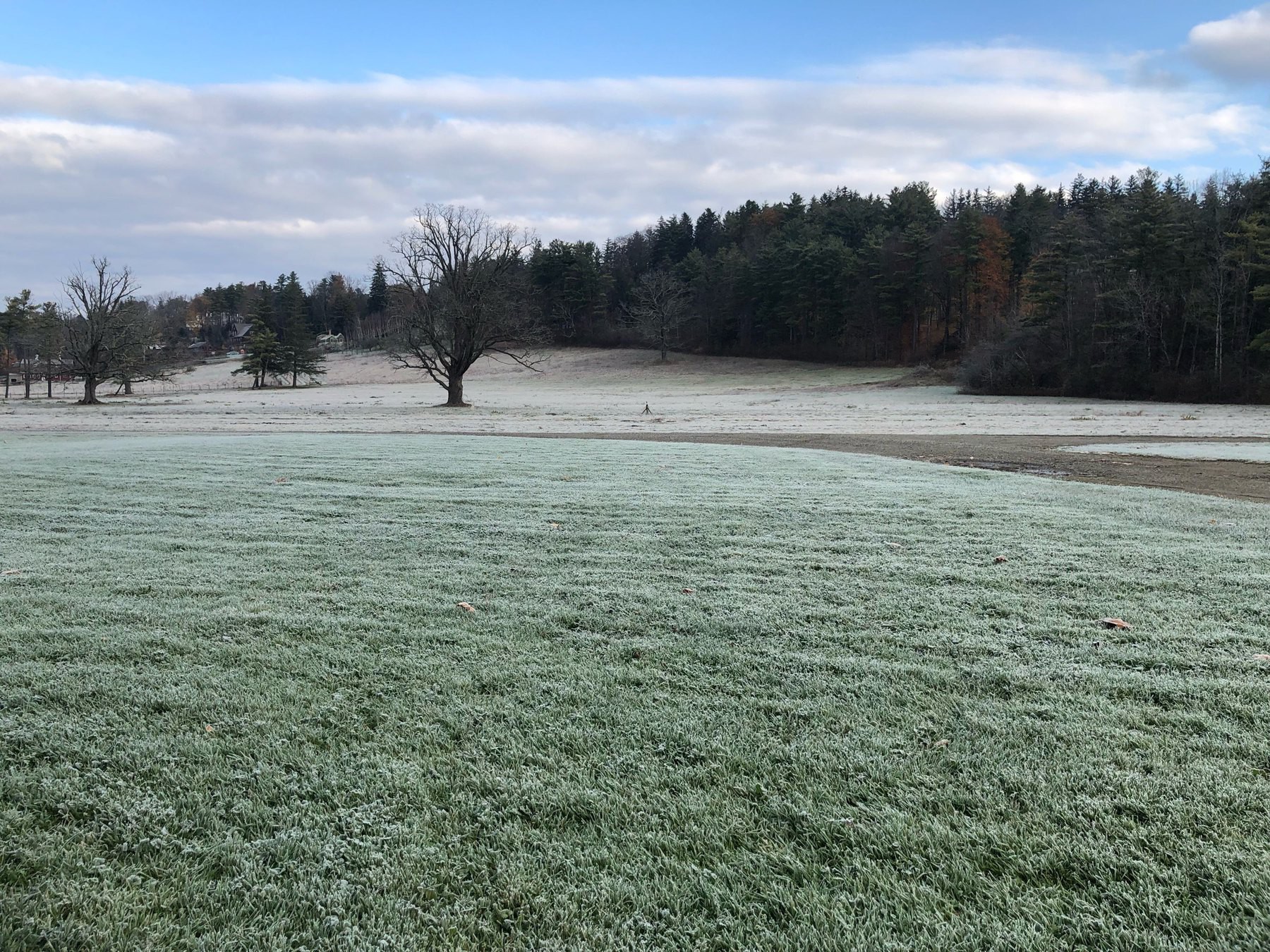 Green New England field covered in frost.