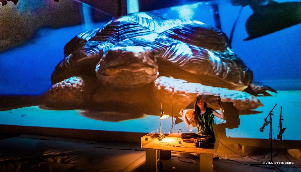 Dancer hiding under paper in warm amber light in front of giant projection of a tortoise with a blue cast.