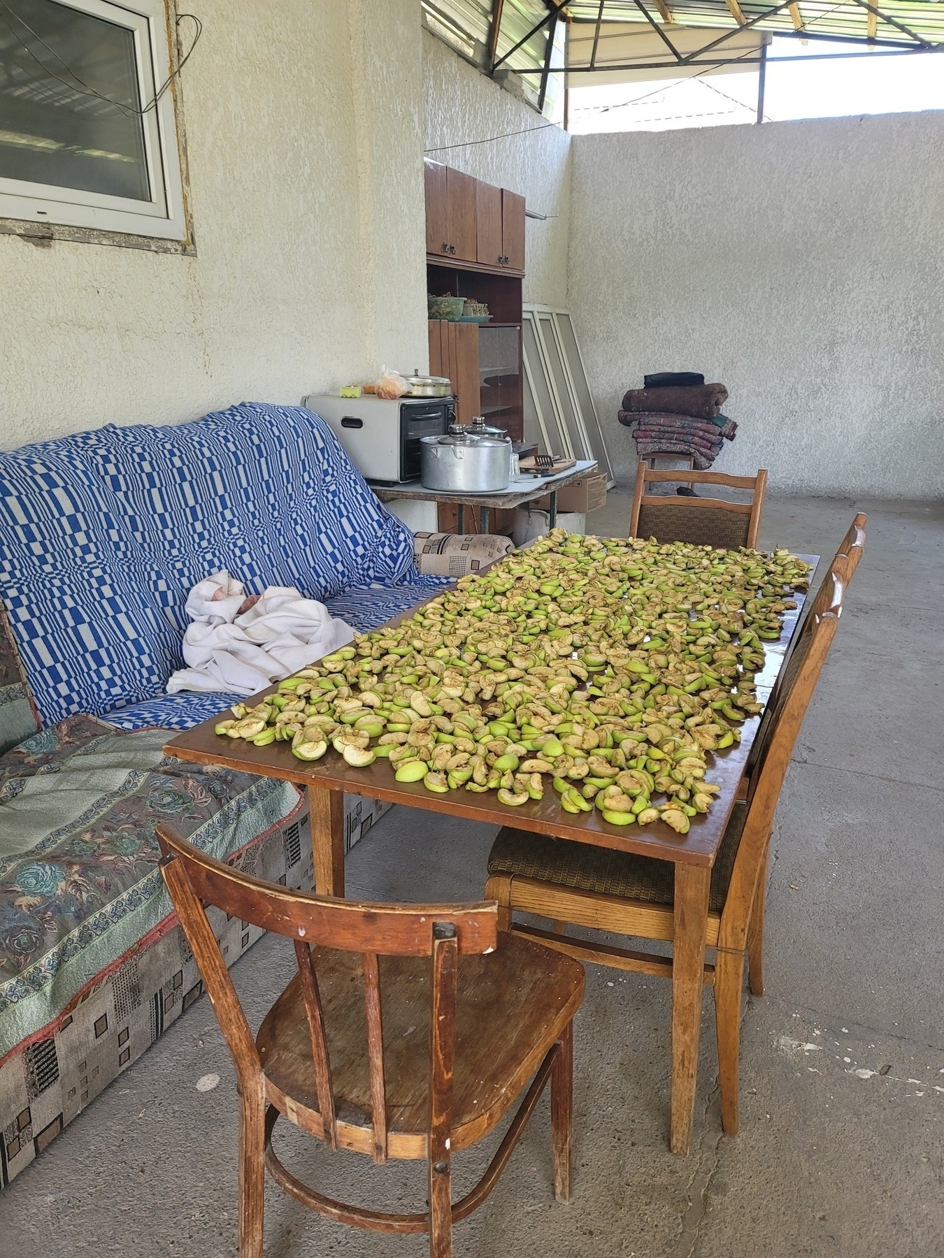 green apple slices on a wooden table in an enclosed concrete porch area