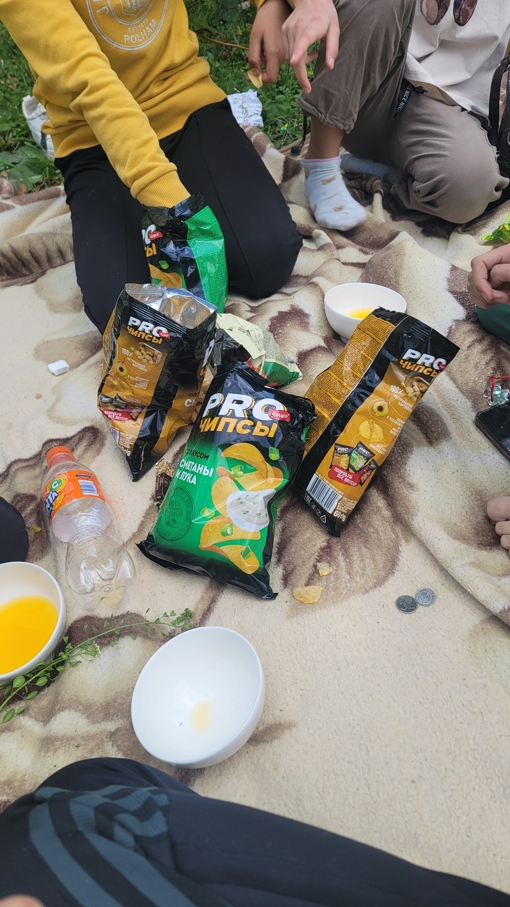 four bags of chips and two teacups for Fanta on a blanket on the ground, which 5 people are kneeling on