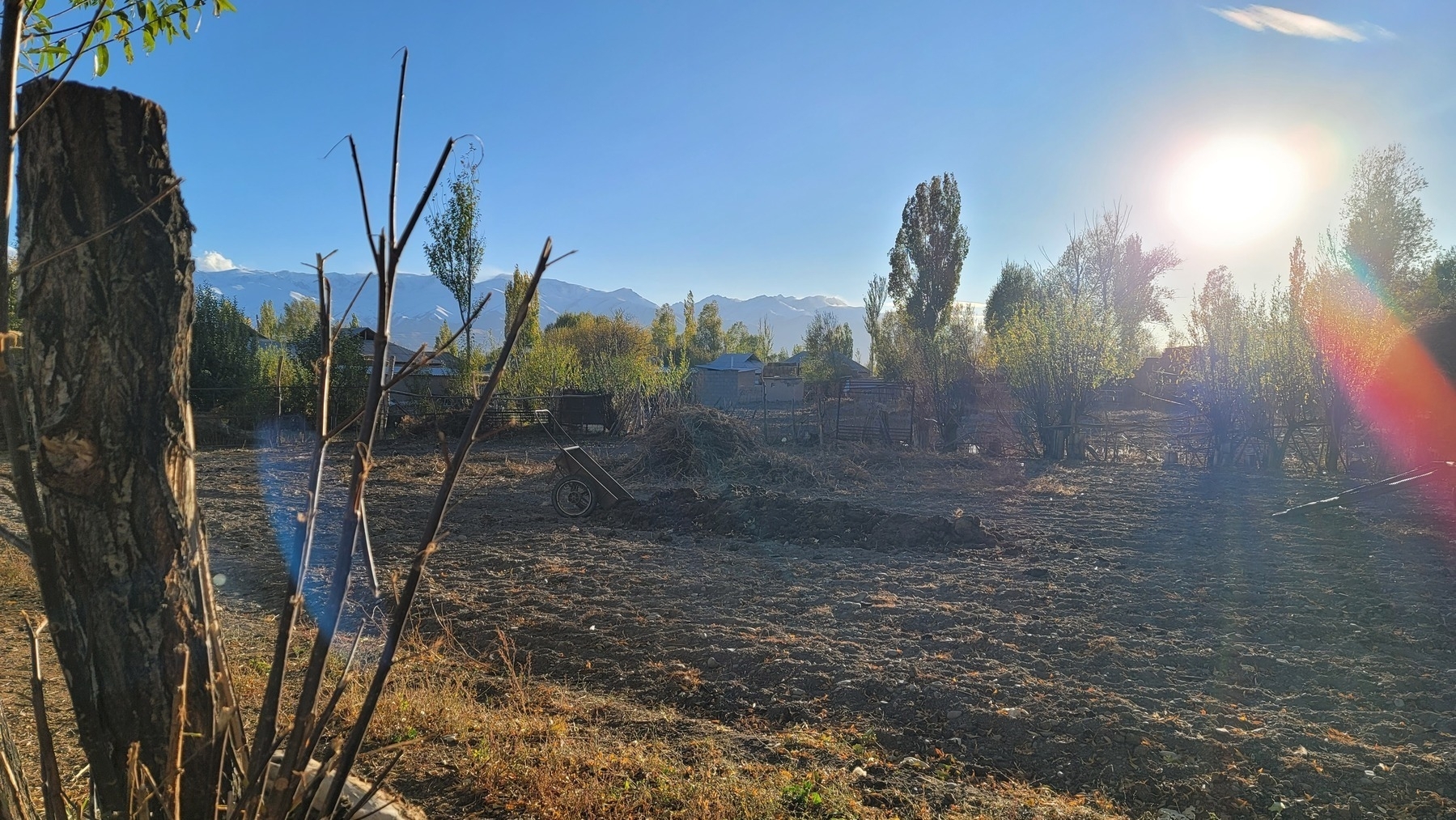 field (probably for potatoes) with a wheelbarrow, dirt pile, and hay pile, surrounded by trees, mountains in the background, and a bright sun in the sky