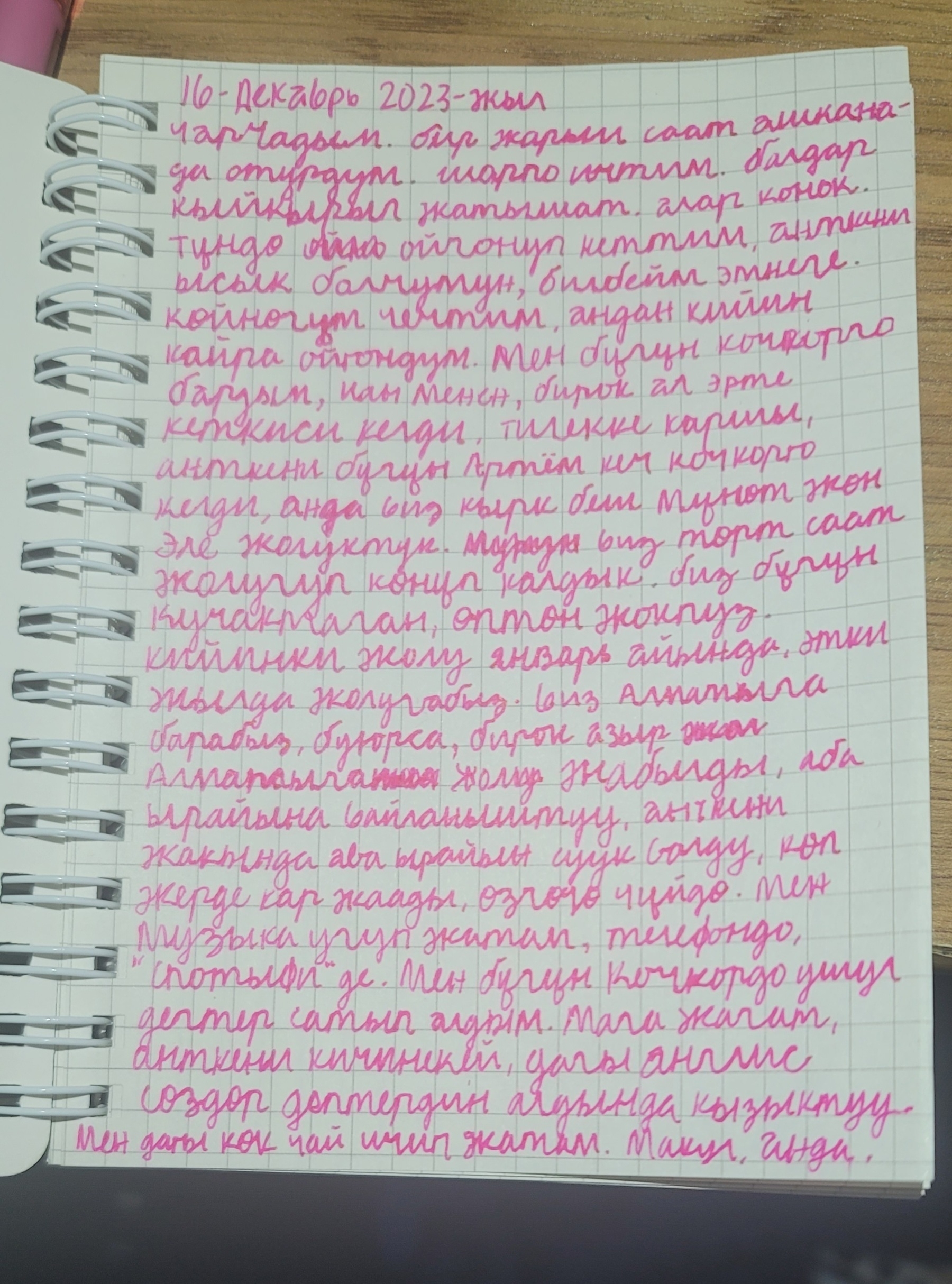 page of a small notebook filled with pink writing in Cyrillic cursive