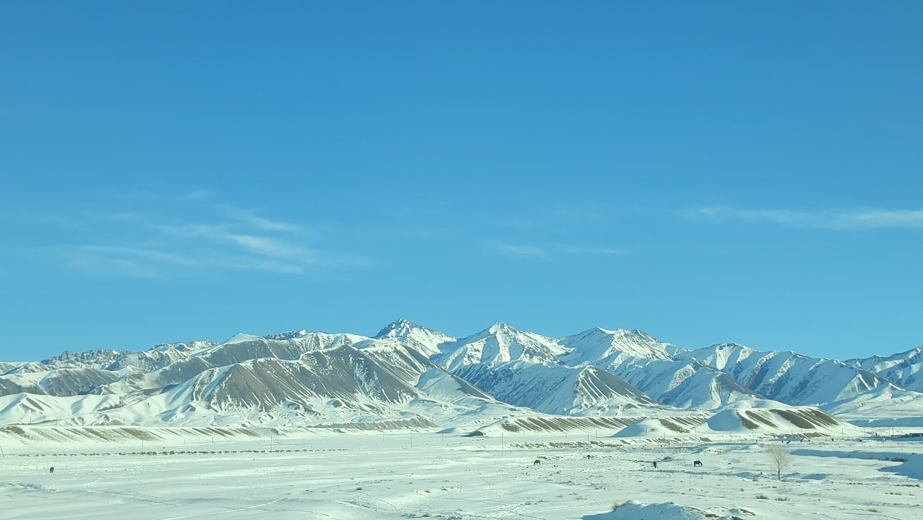 snow covered mountains against a blue sky