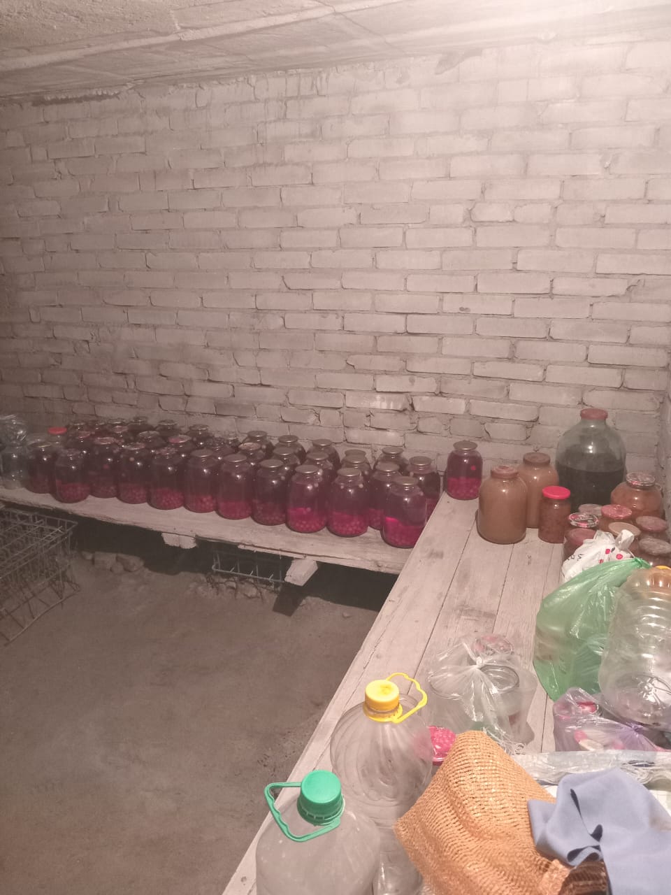 about 30 jars with cherries and red kompot (fruit juice drink) inside on a wooden table in a cellar with brick walls
