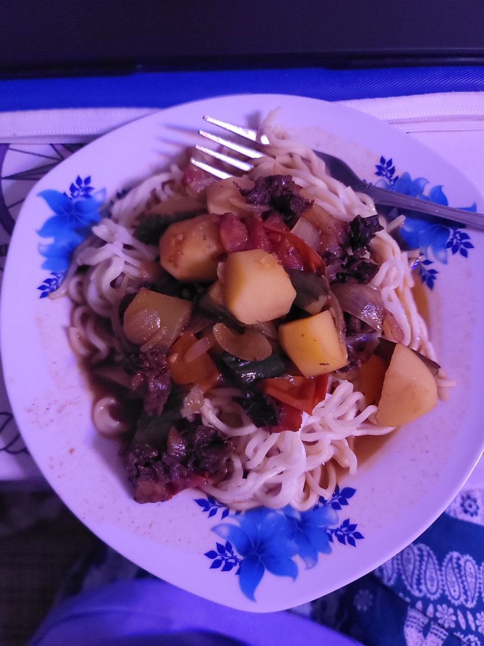 noodles with fried meat and vegetables including cucumber, tomato, potato and onion with a little bit of broth/oil