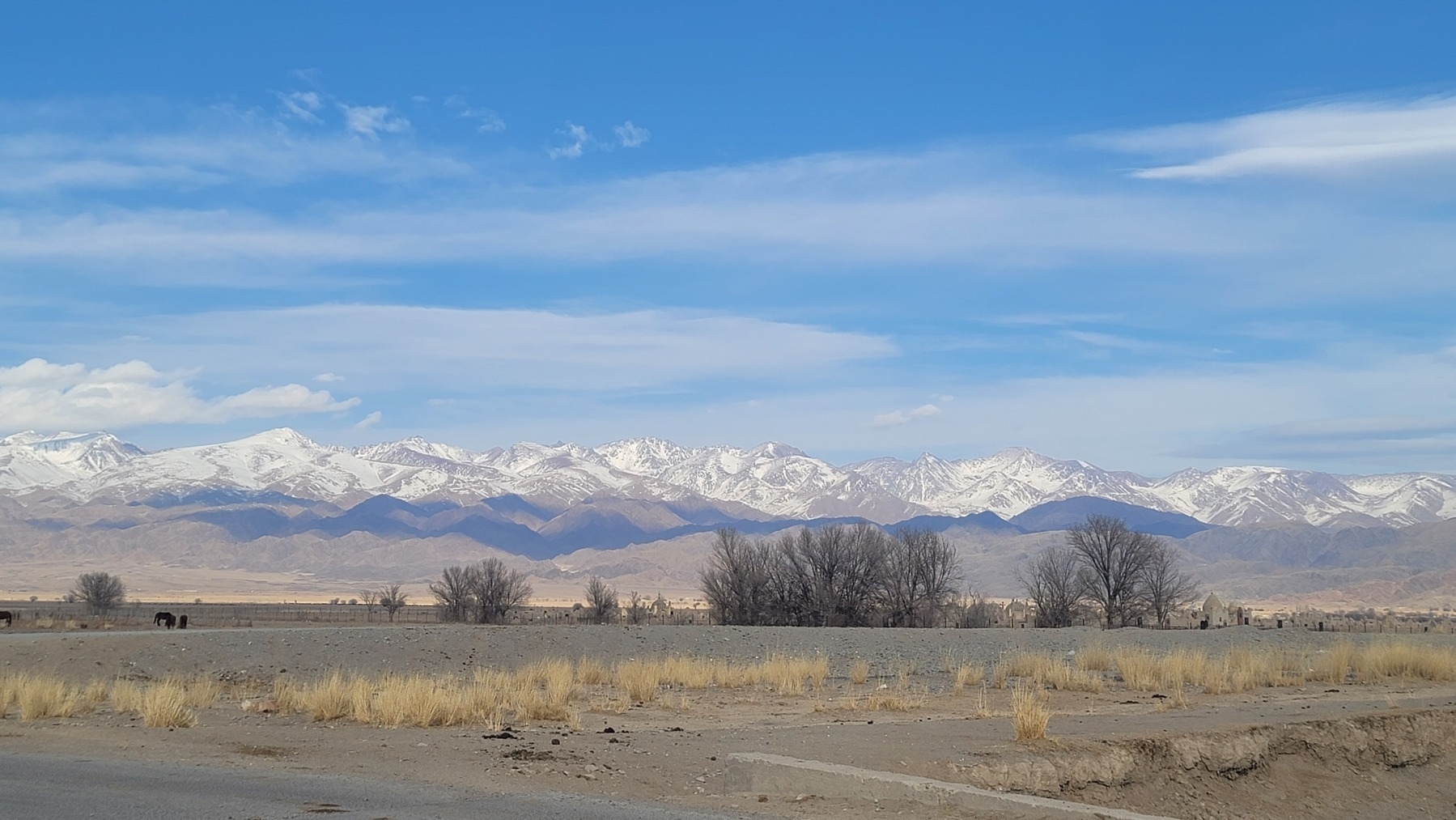 snow-capped mountains with long, dark shadows from thin overhead clouds streaking across; a few brown trees and yellow grass among a field of mostly dirt