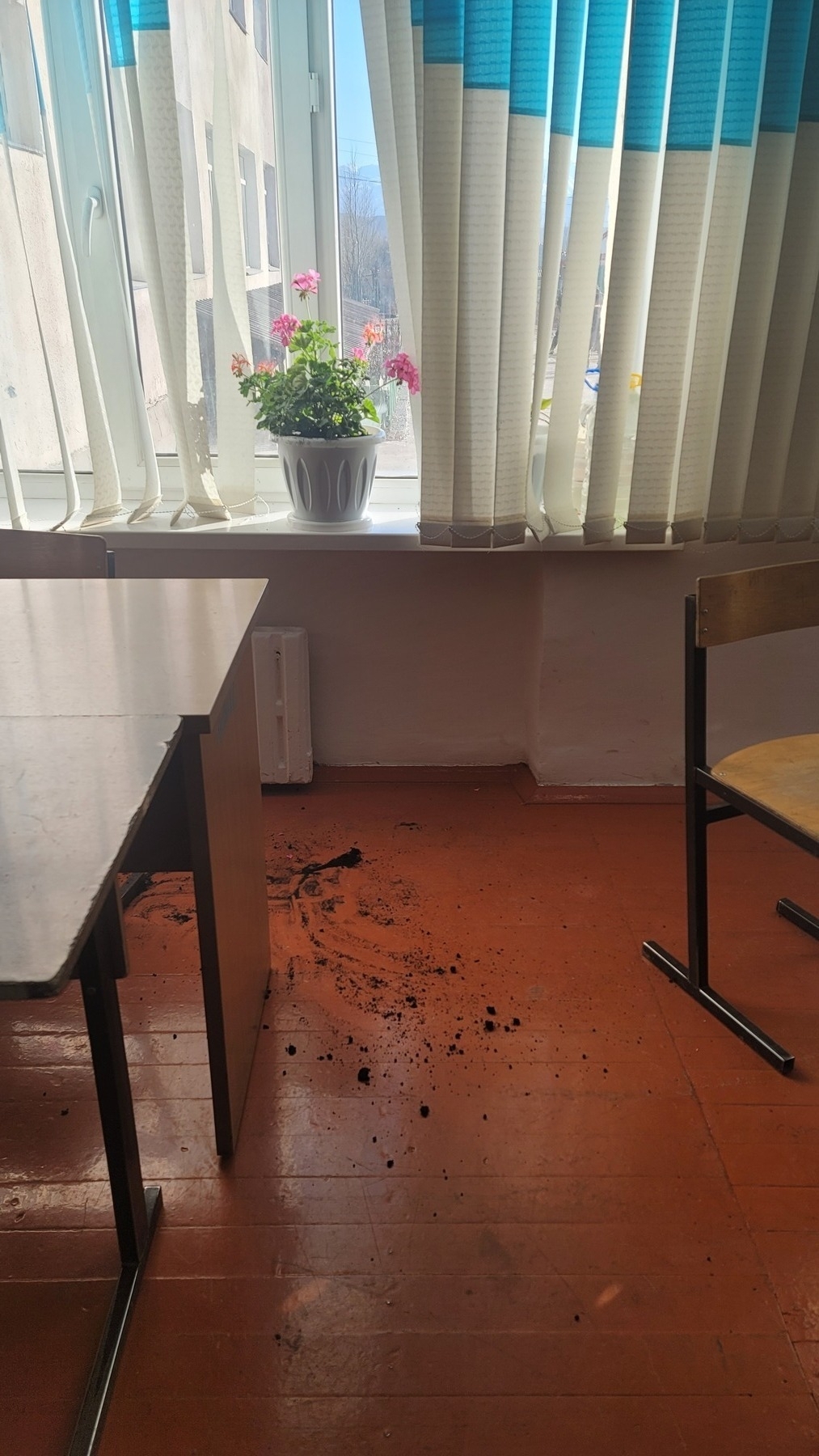 side of a classroom with a couple of desks and chair visible. flower pot on the windowsill, and a small area of dark soil scattered on the floor