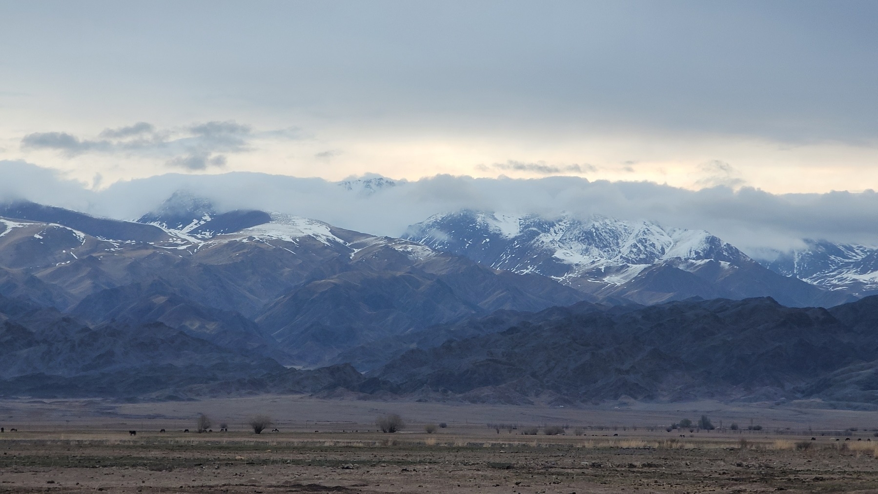 snow-capped mountains at dawn with a gray cloud separating the peaks from the sky