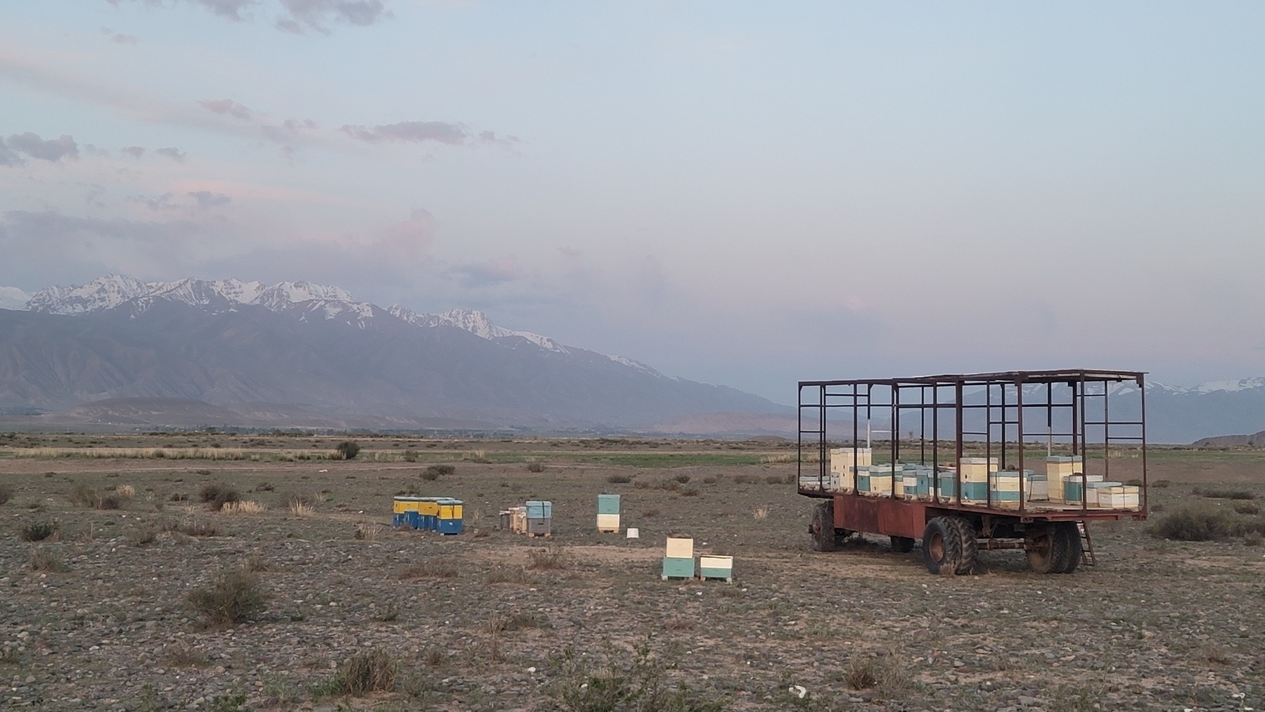 trailer truck without paneling with bee cases inside of it, and other bee cases on the ground outside. mountains in the background