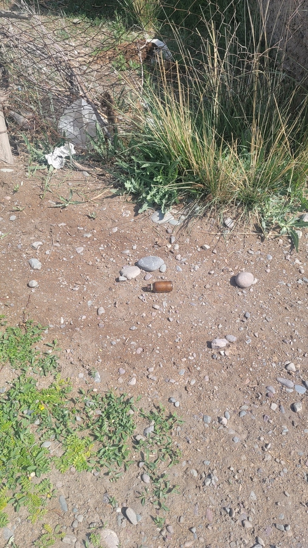 discarded, brown glass medicinal bottle without a cap on the ground