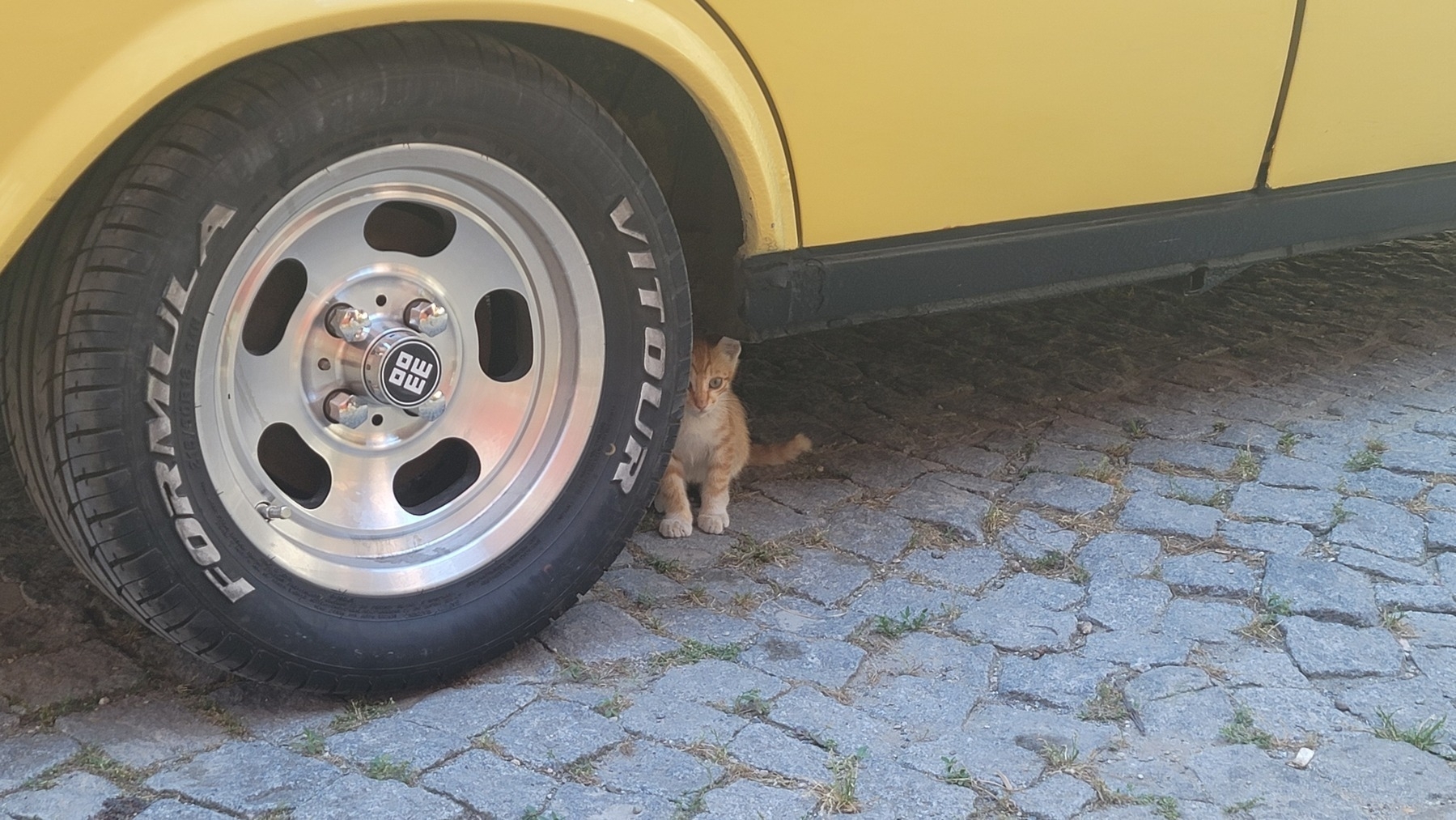 orange kitten under a yellow car on a cobblestone street