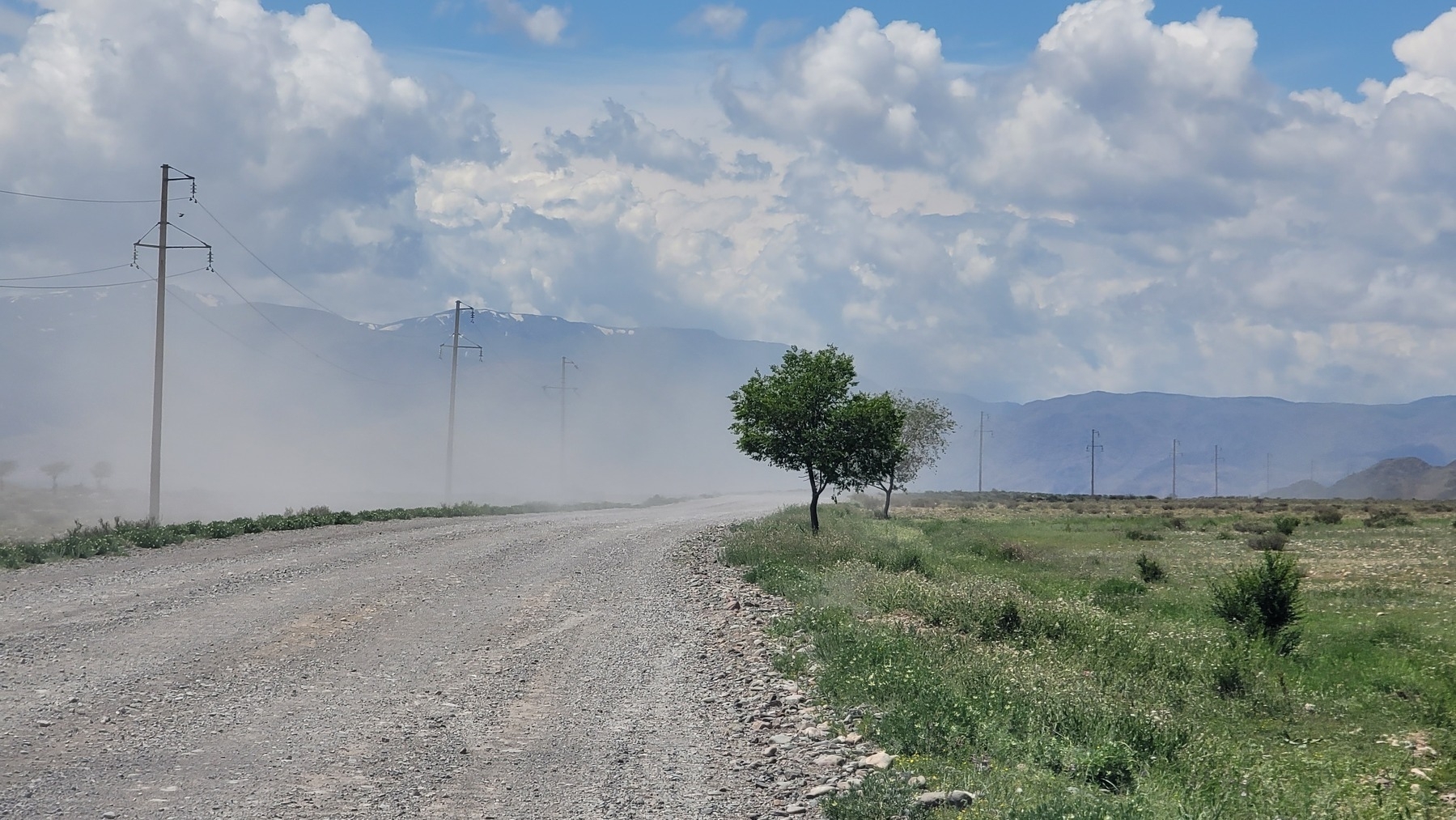 power lines on the left and a line tree on the right of a gravel road with dust in the air