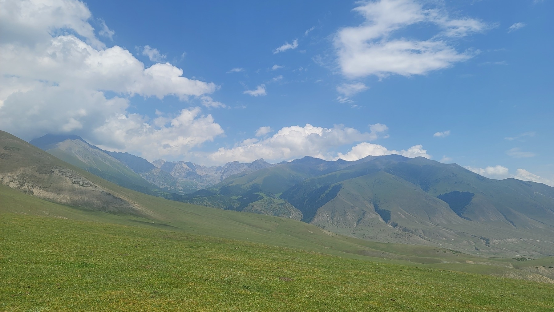 blue sky and green mountains