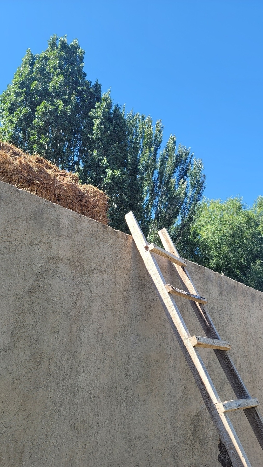 wooden ladder with a loose top slat against a concrete structure with hay on top