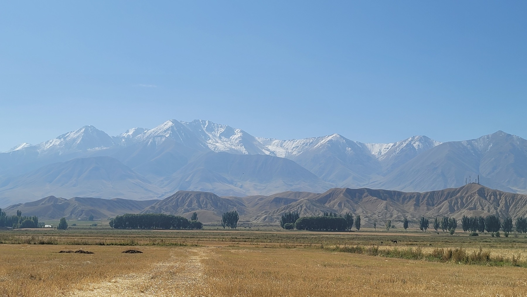 yellow field in front of small brown mountains, in front of large,  lightly snow-capped mountains