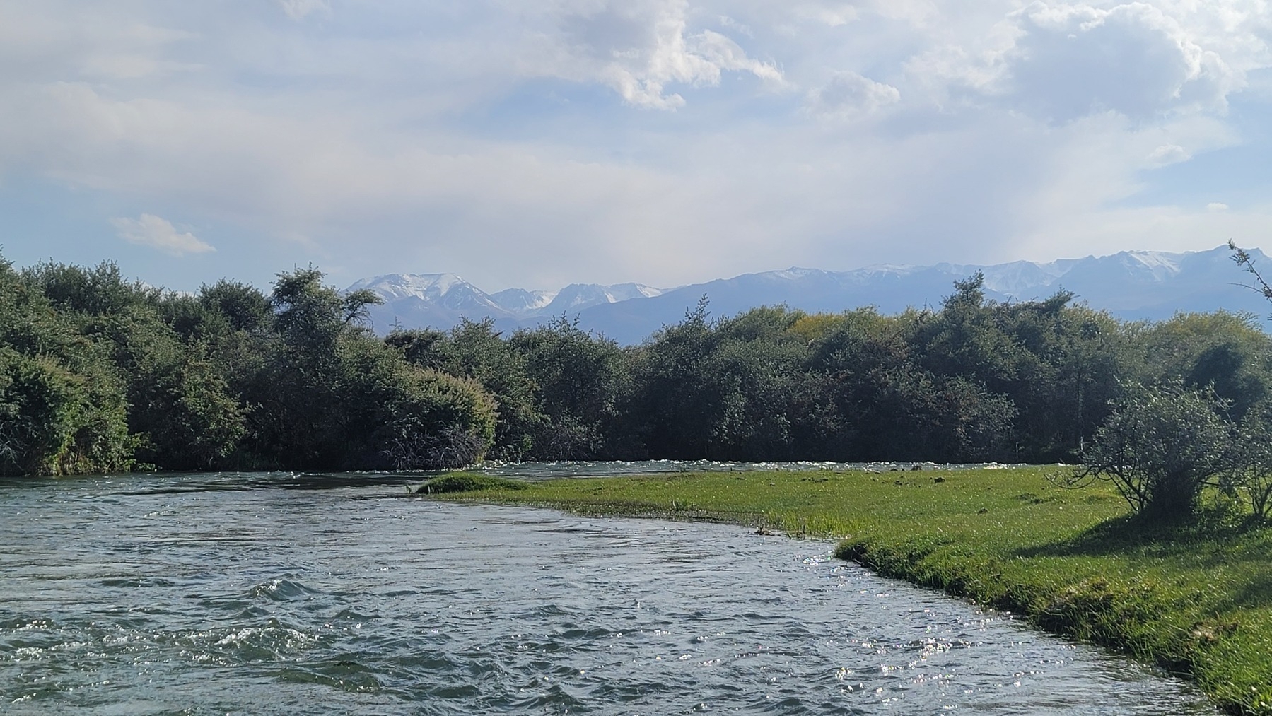 rivers with trees along the far edge. mountains in the distance behind the trees 