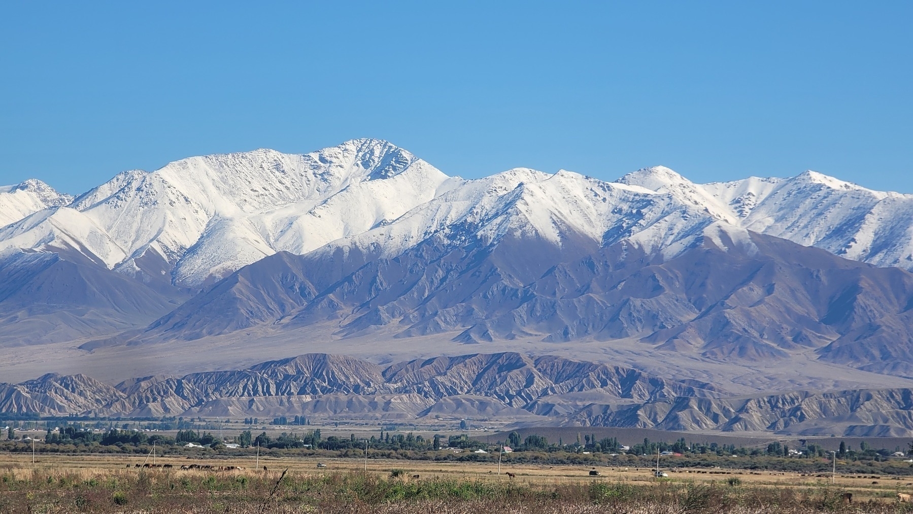 brown mountains half-covered in snow