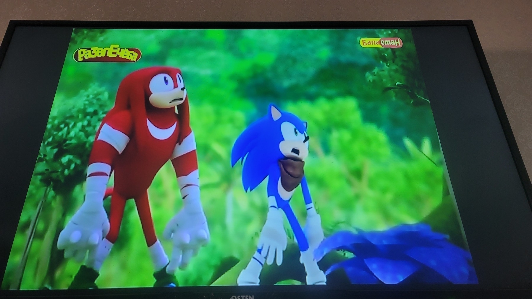 Knuckles (red cartoon hedgehog) and Sonic (blue cartoon hedgehog) on a TV screen with stunned faces