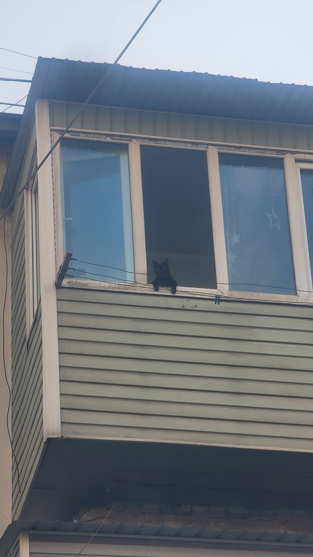 looking up at a black cat in front of a 3rd floor windowsill, looking out the window with its two front paws over the sill