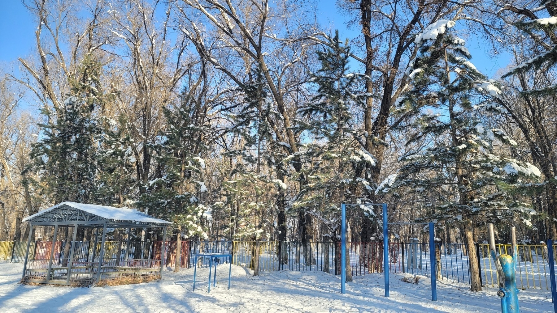 small patio and trees with snow on and around them