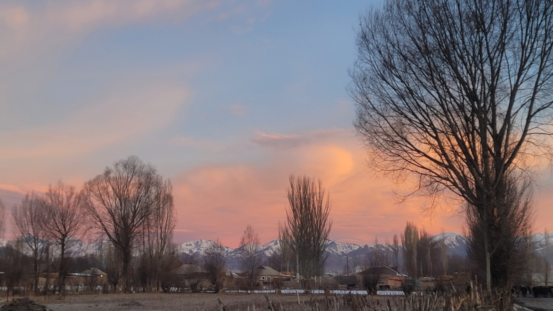 view of my village with trees (without leaves) and houses. mountains in the distance. orange clouds low in the sky above the mountains