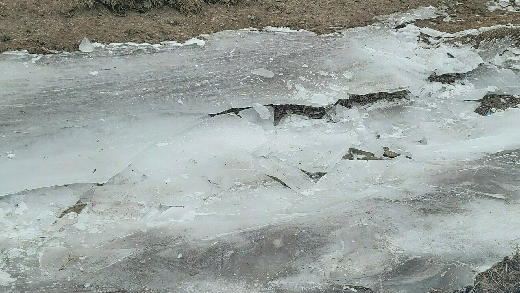 sheet of ice (with some broken places) covering the bottom of a canal