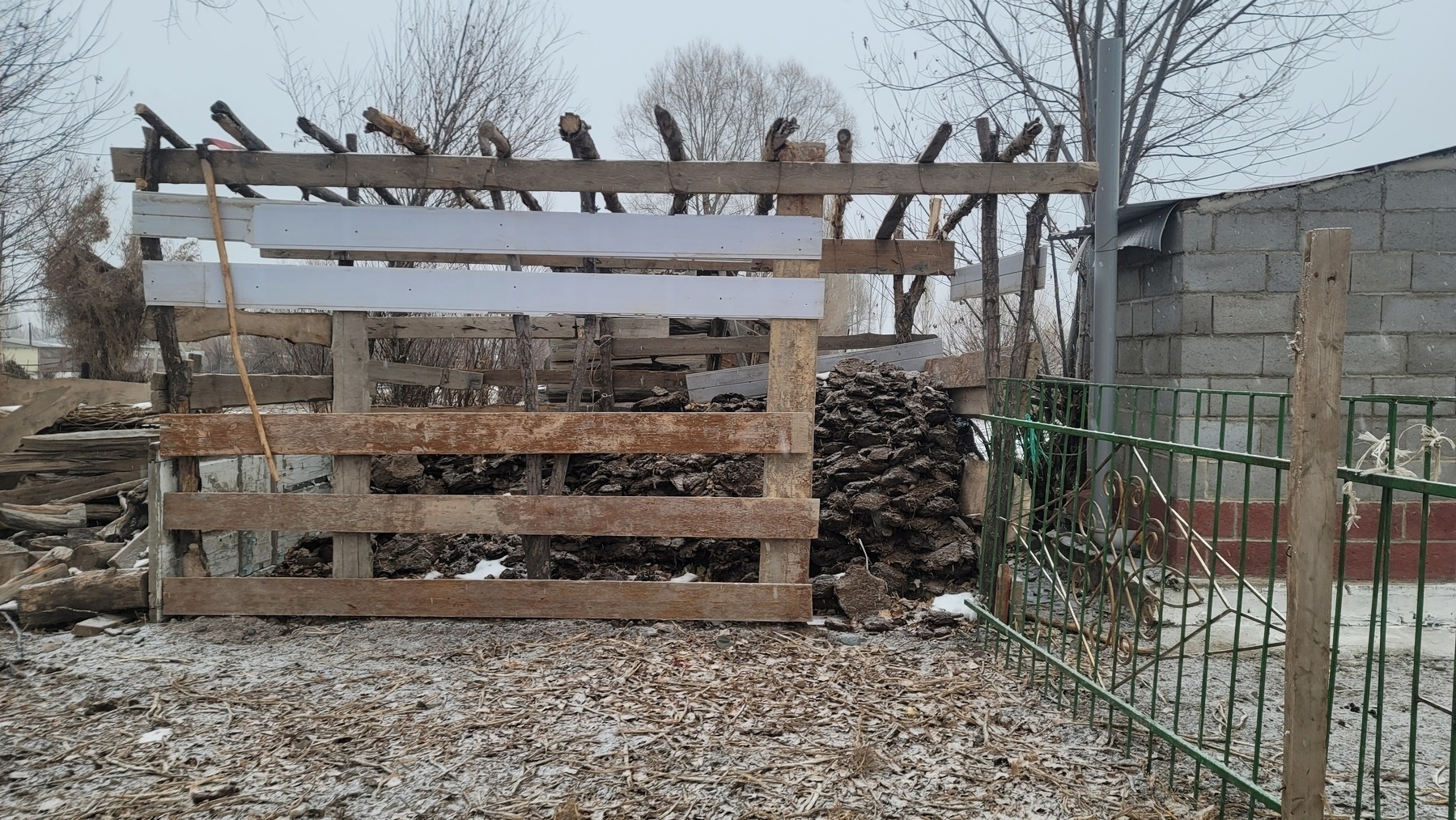 shed with gaps in the walls containing piles of (cow) poop. to the left, a fence, and an outhouse