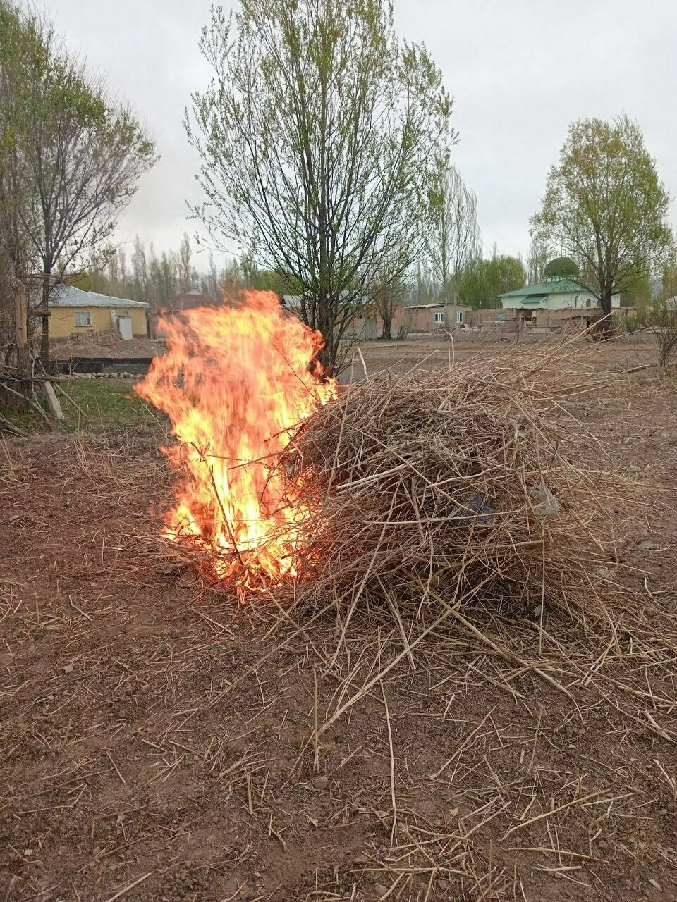 a small pile of brush, with half of it on fire