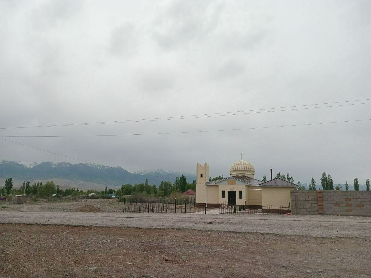 beige mosque across a road