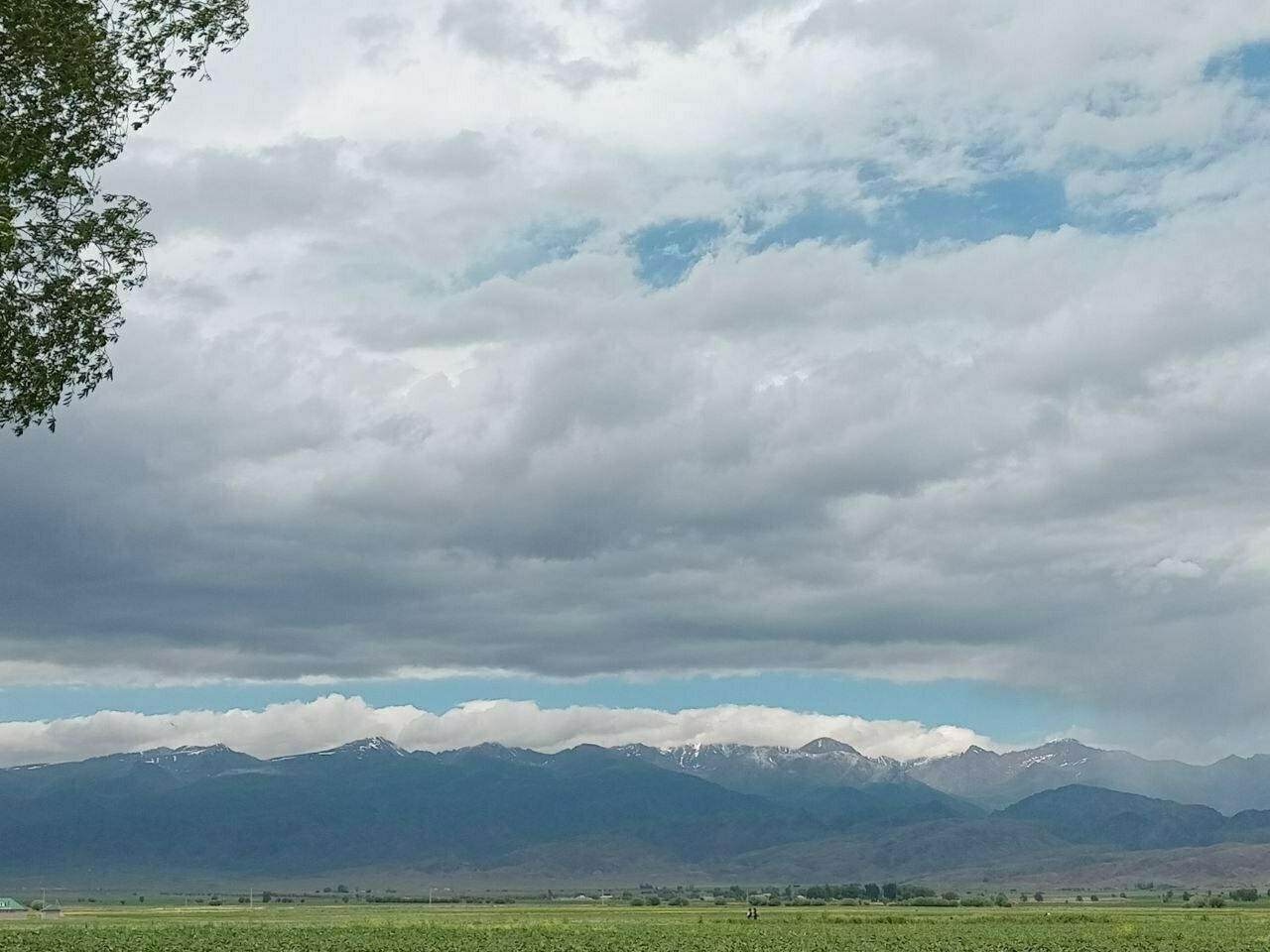 green field in front of mountains 