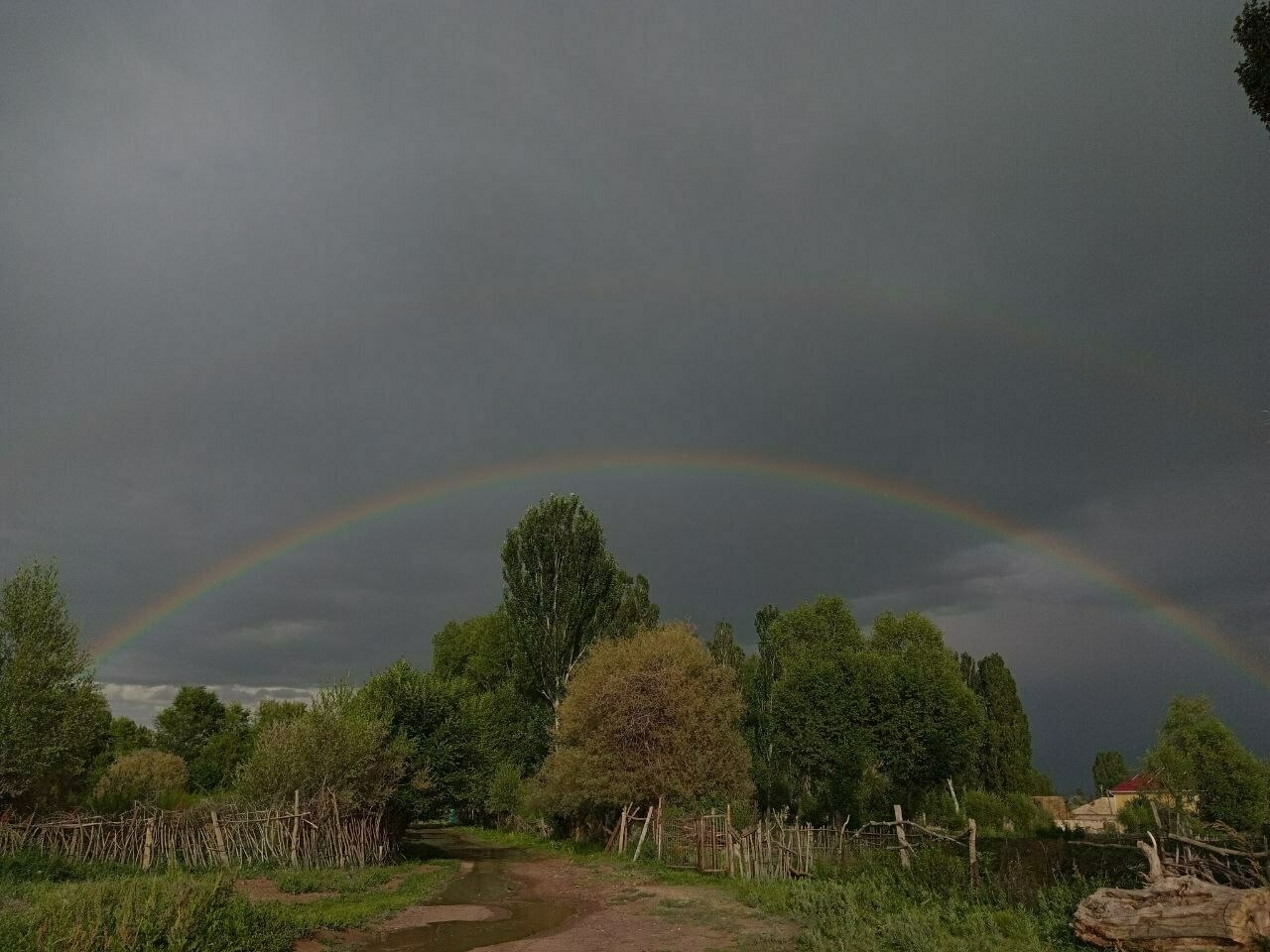 double rainbow over a dirt road lined with some trees 