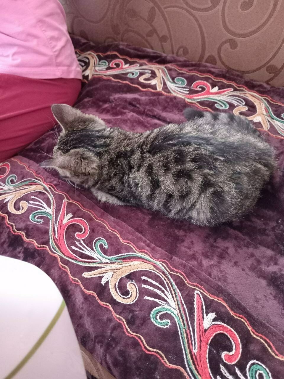 tabby kitten sleeping on a thick burgundy mat/blanket with colorful patterns embroidered along the sides